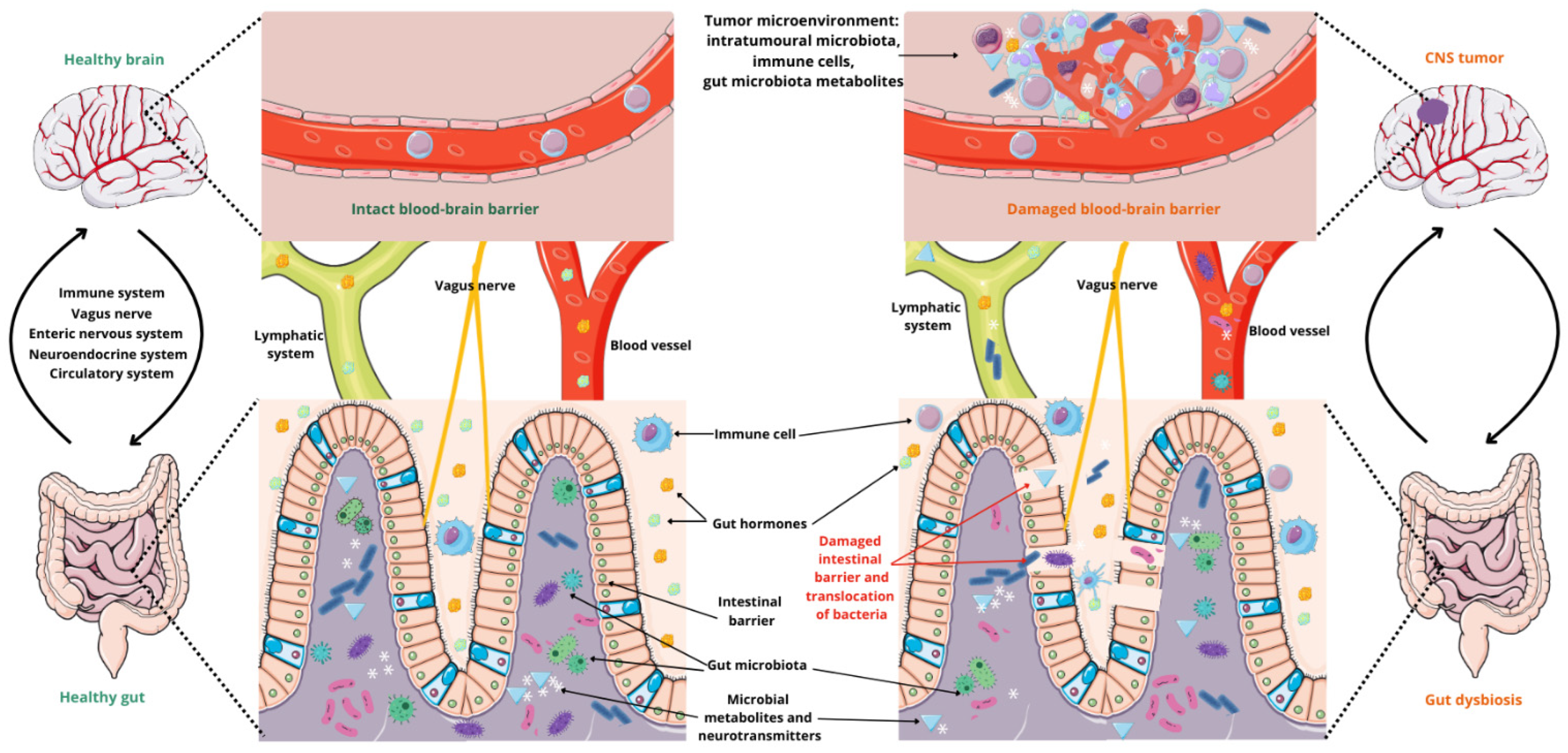 Cancers 17 00719 g001