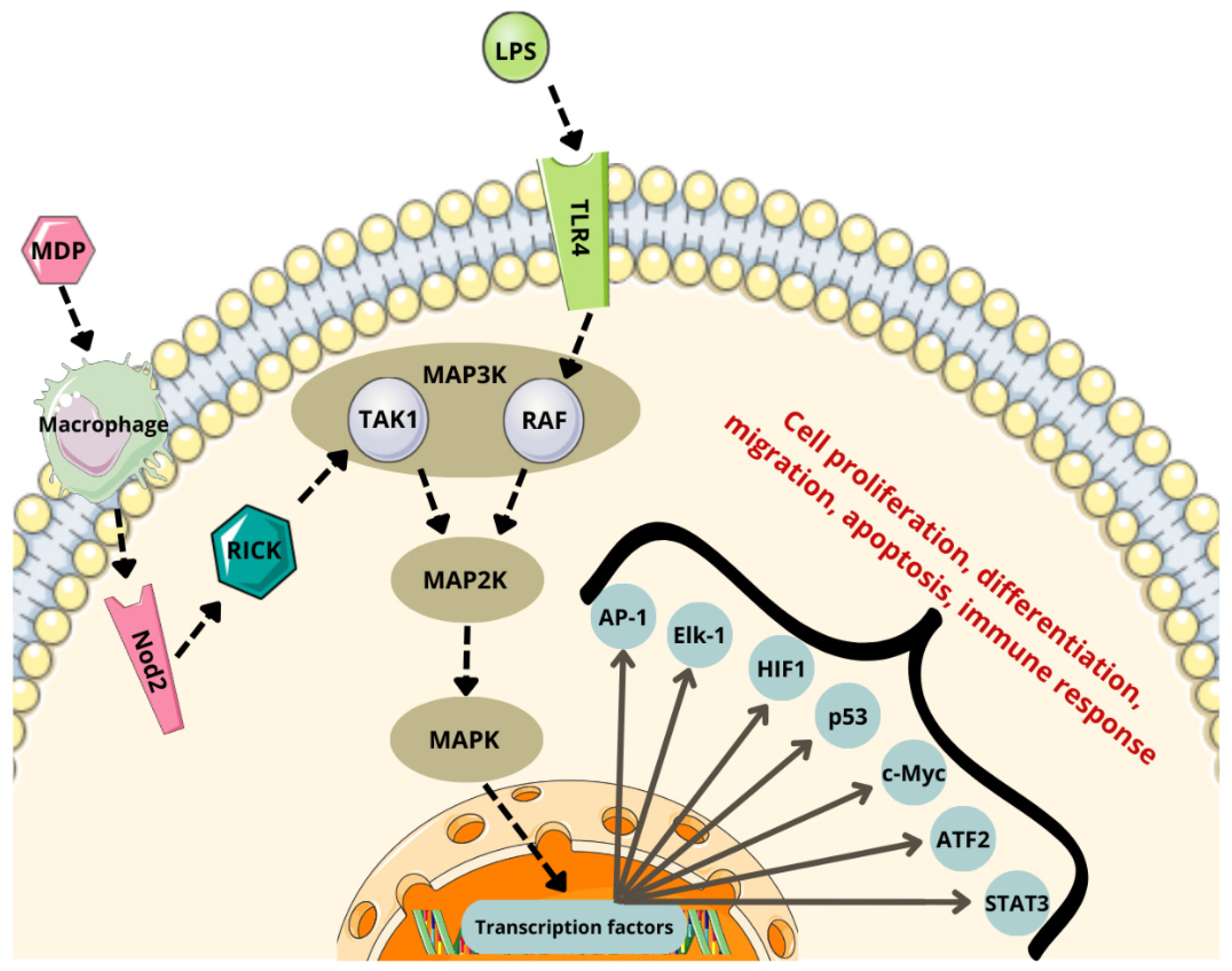 Cancers 17 00719 g003