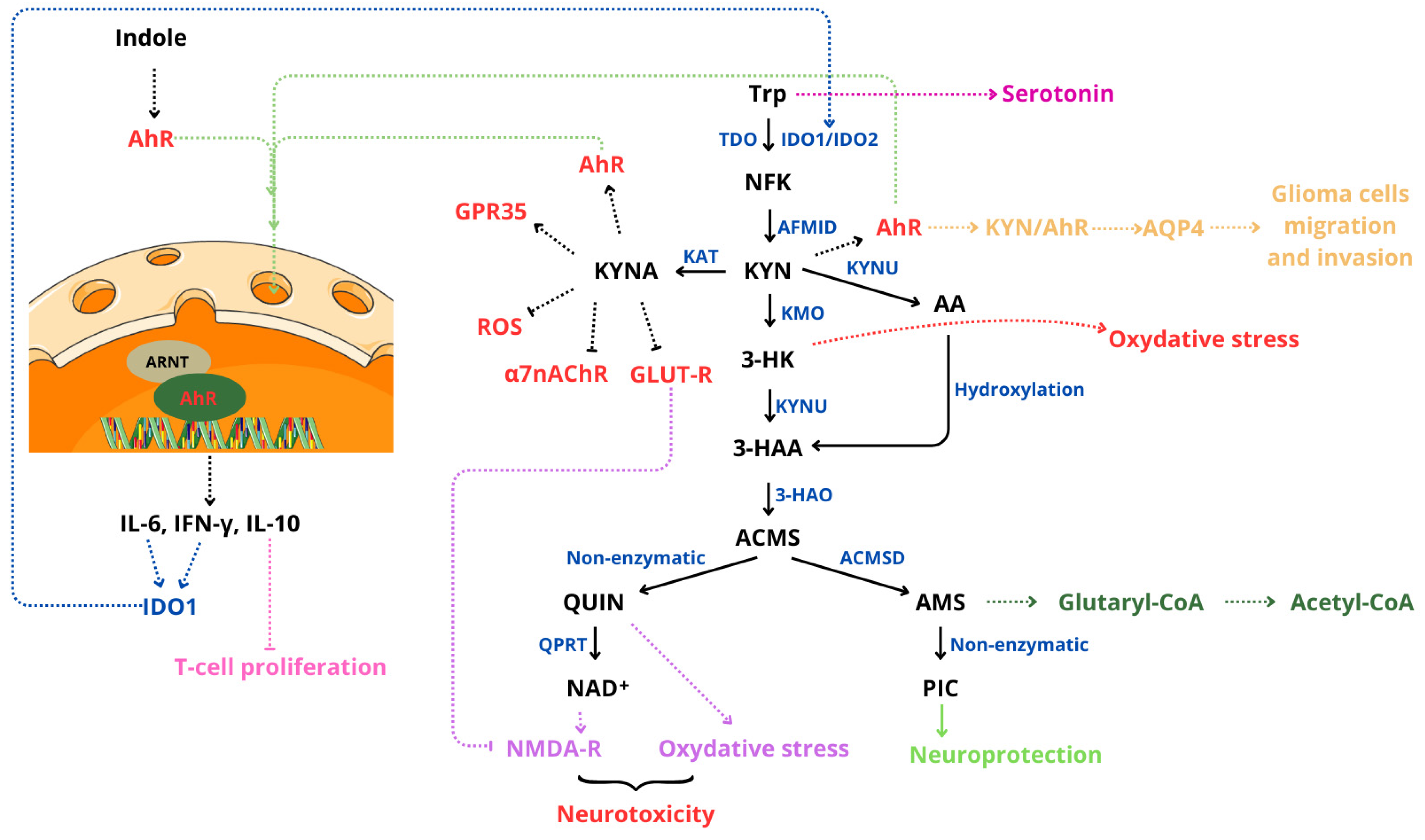 Cancers 17 00719 g005