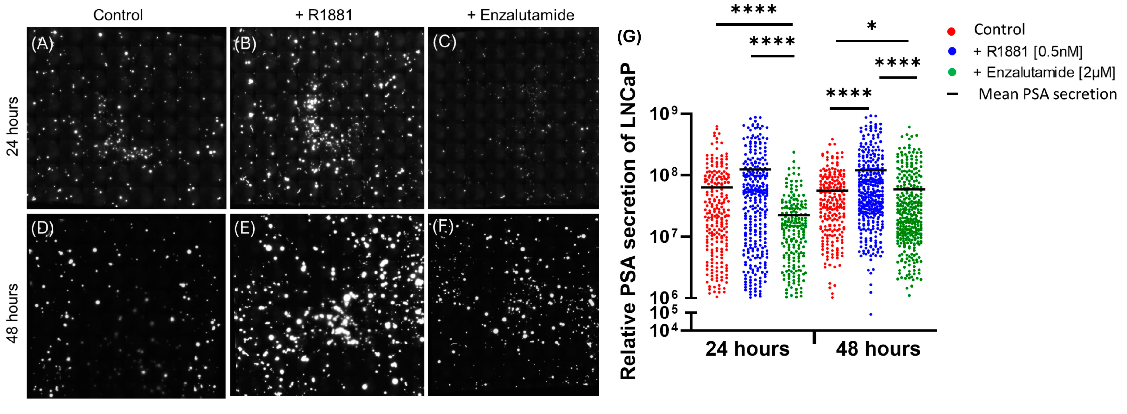 Cancers 17 00721 g002