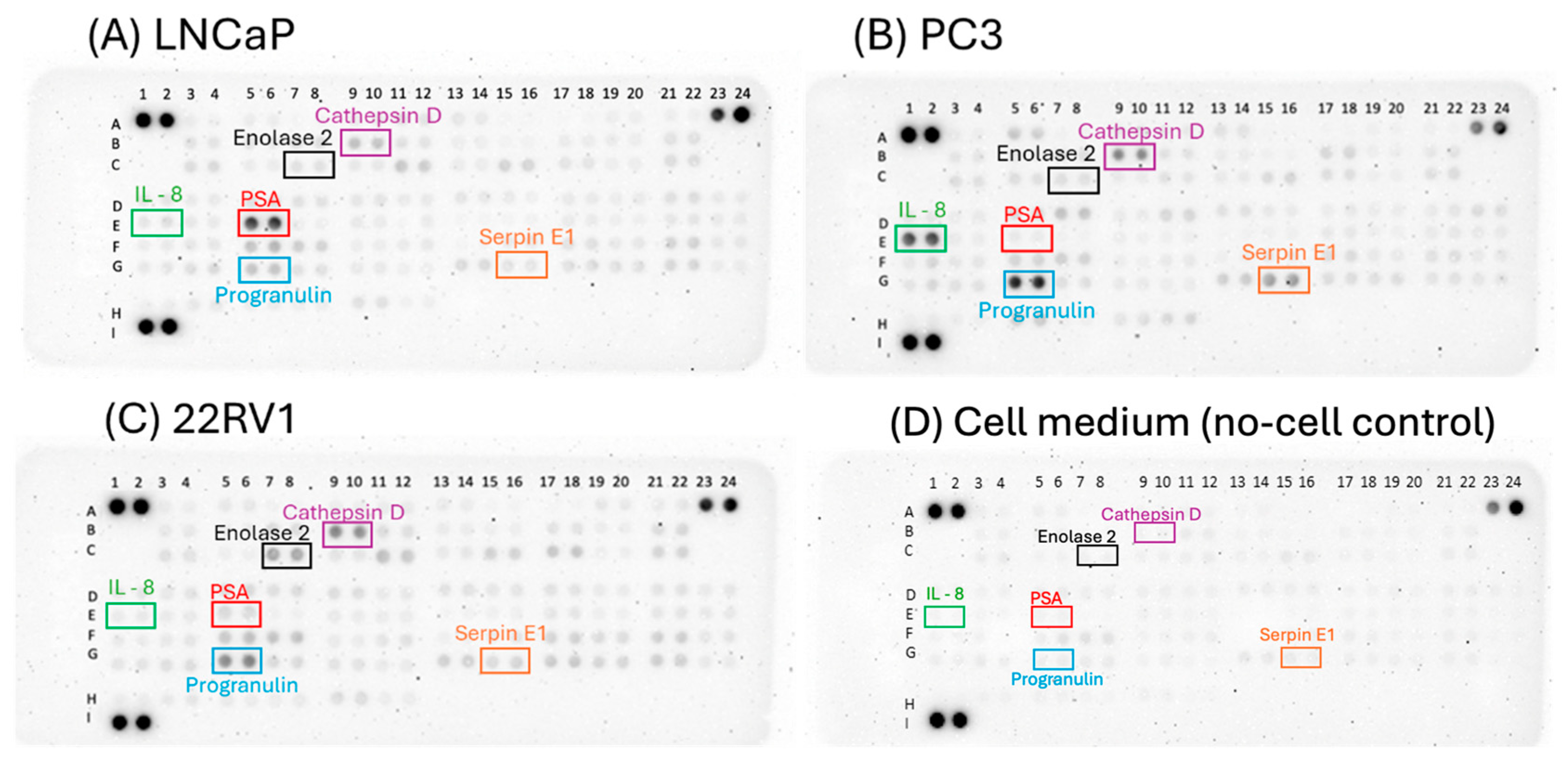 Cancers 17 00721 g008