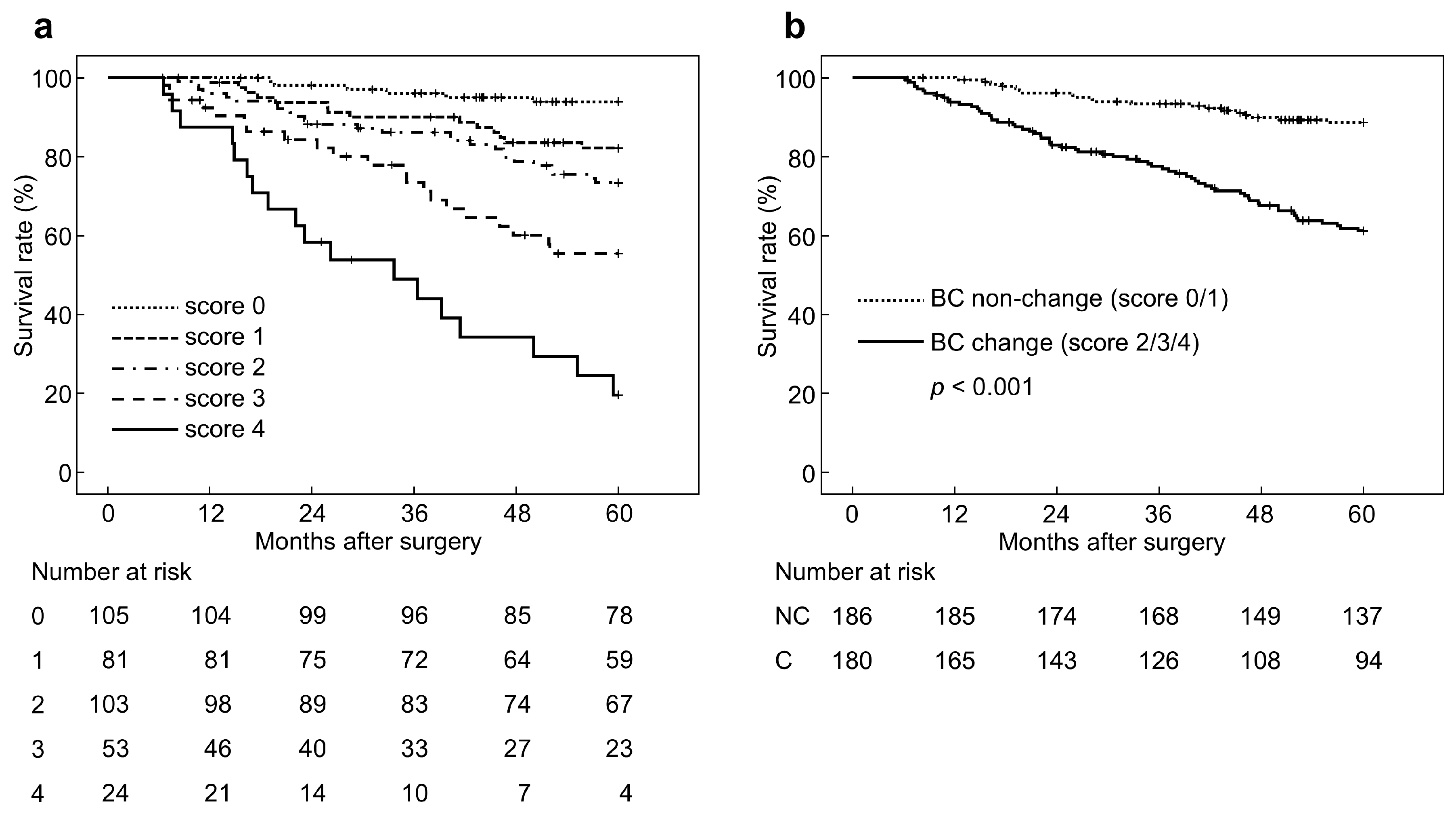 Cancers 17 00738 g004