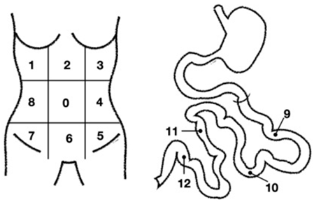 Cancers 17 00746 i001