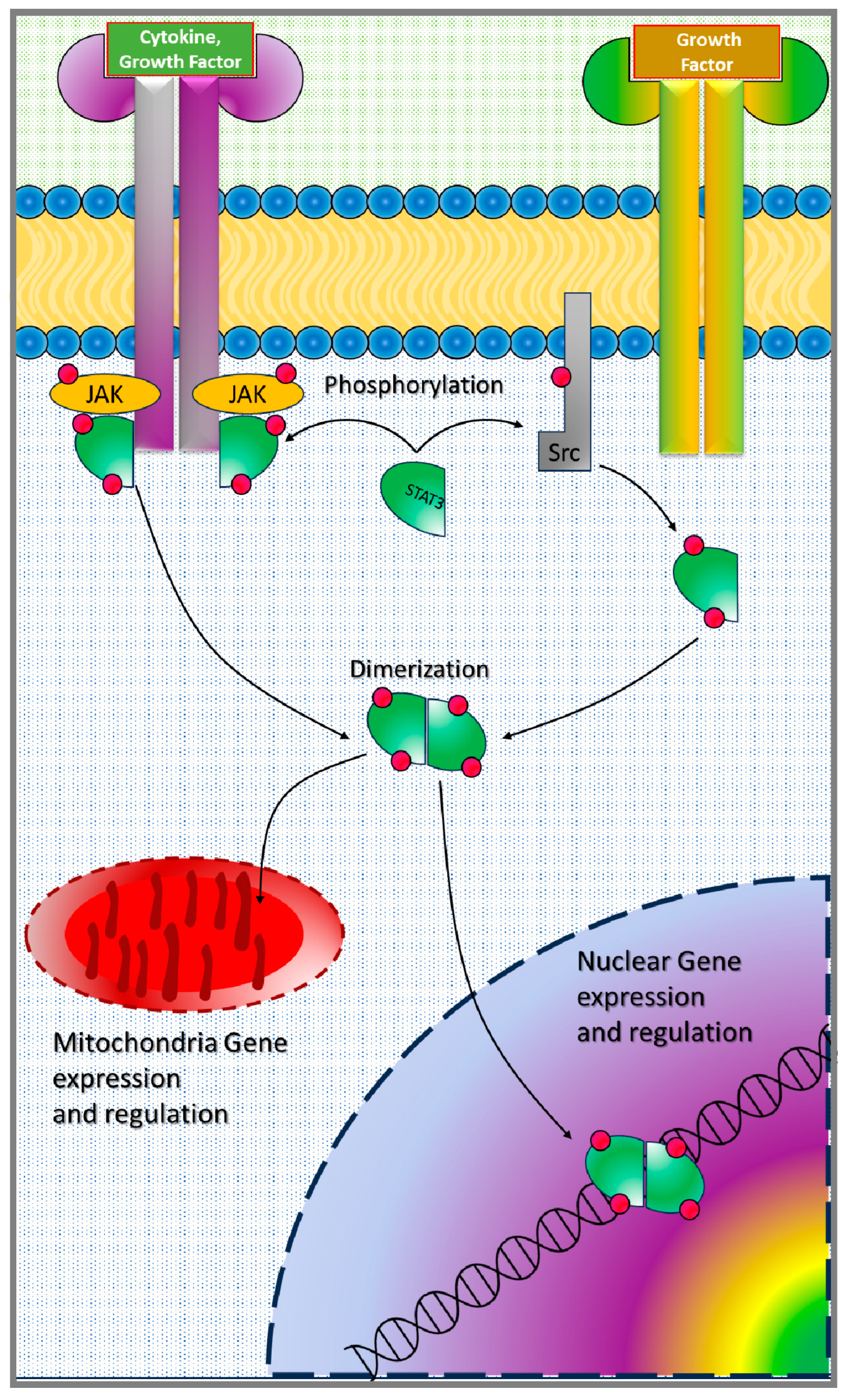 Cancers 17 00755 g001 Cancers 17 00755 g001