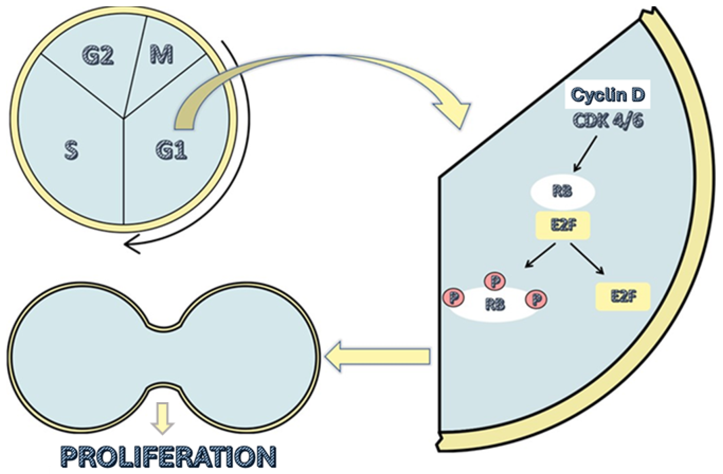 Cancers 17 00760 g001