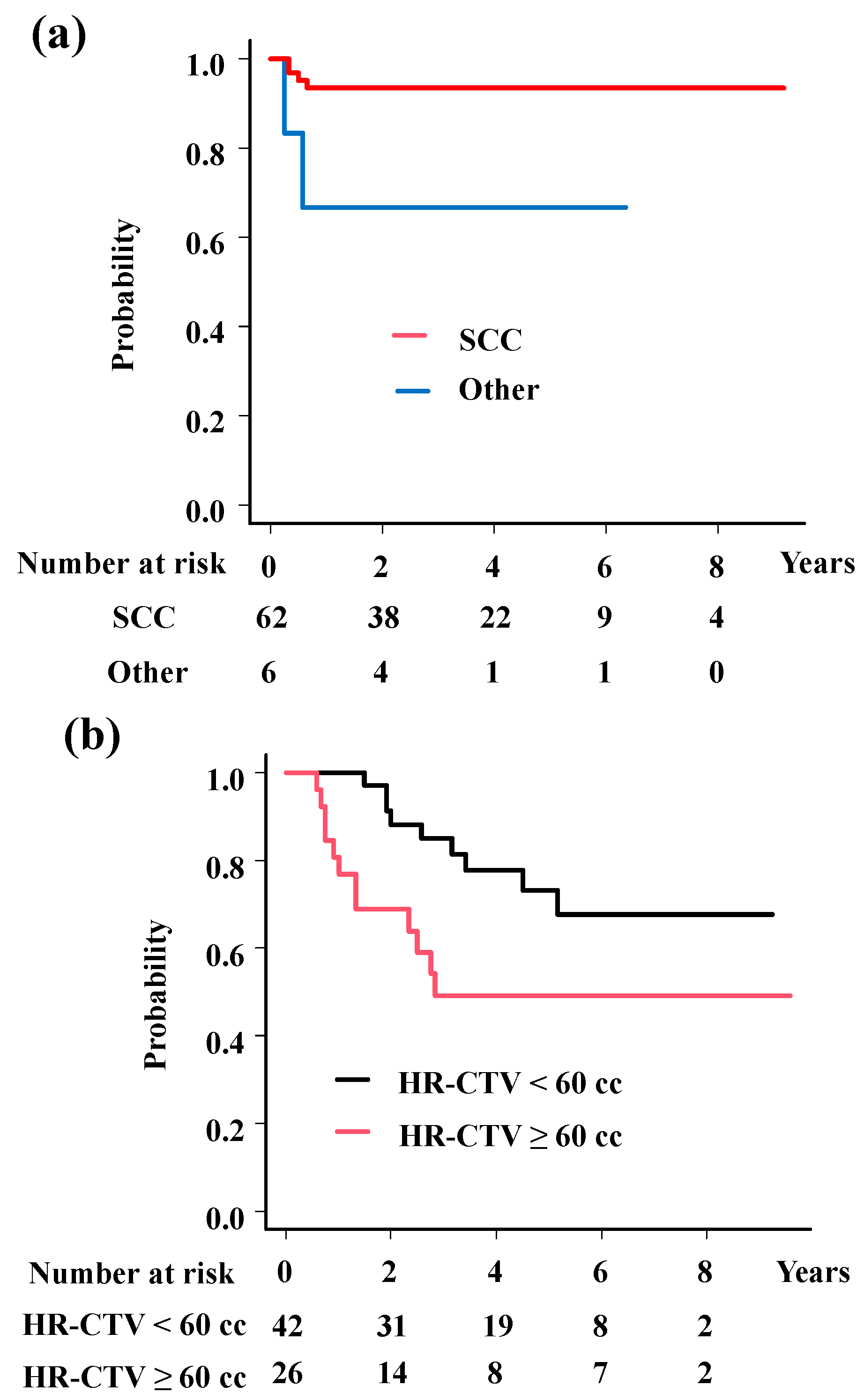 Cancers 17 00770 g003a