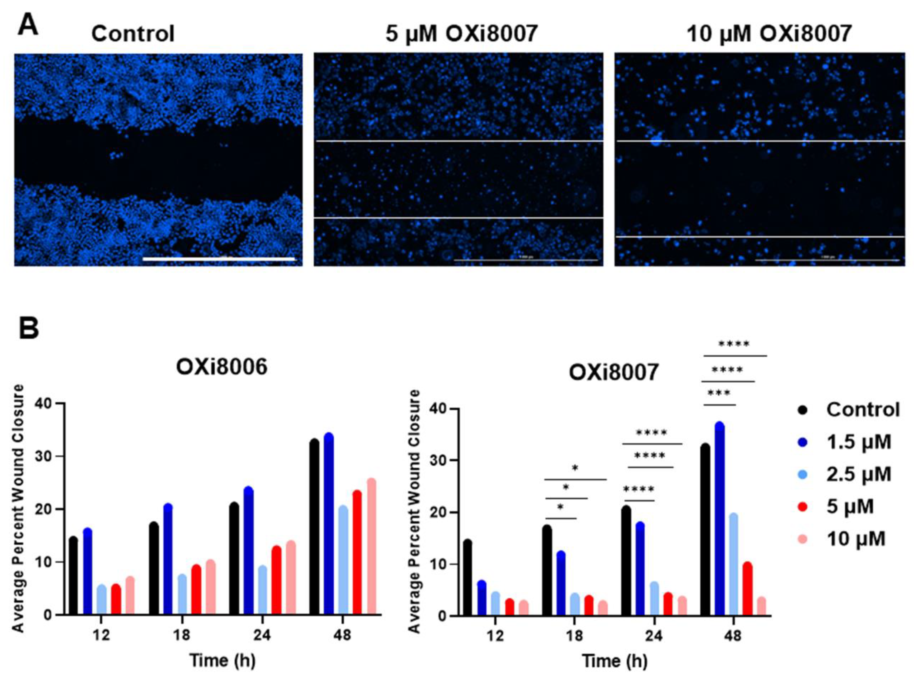 Cancers 17 00771 g003 Cancers 17 00771 g003