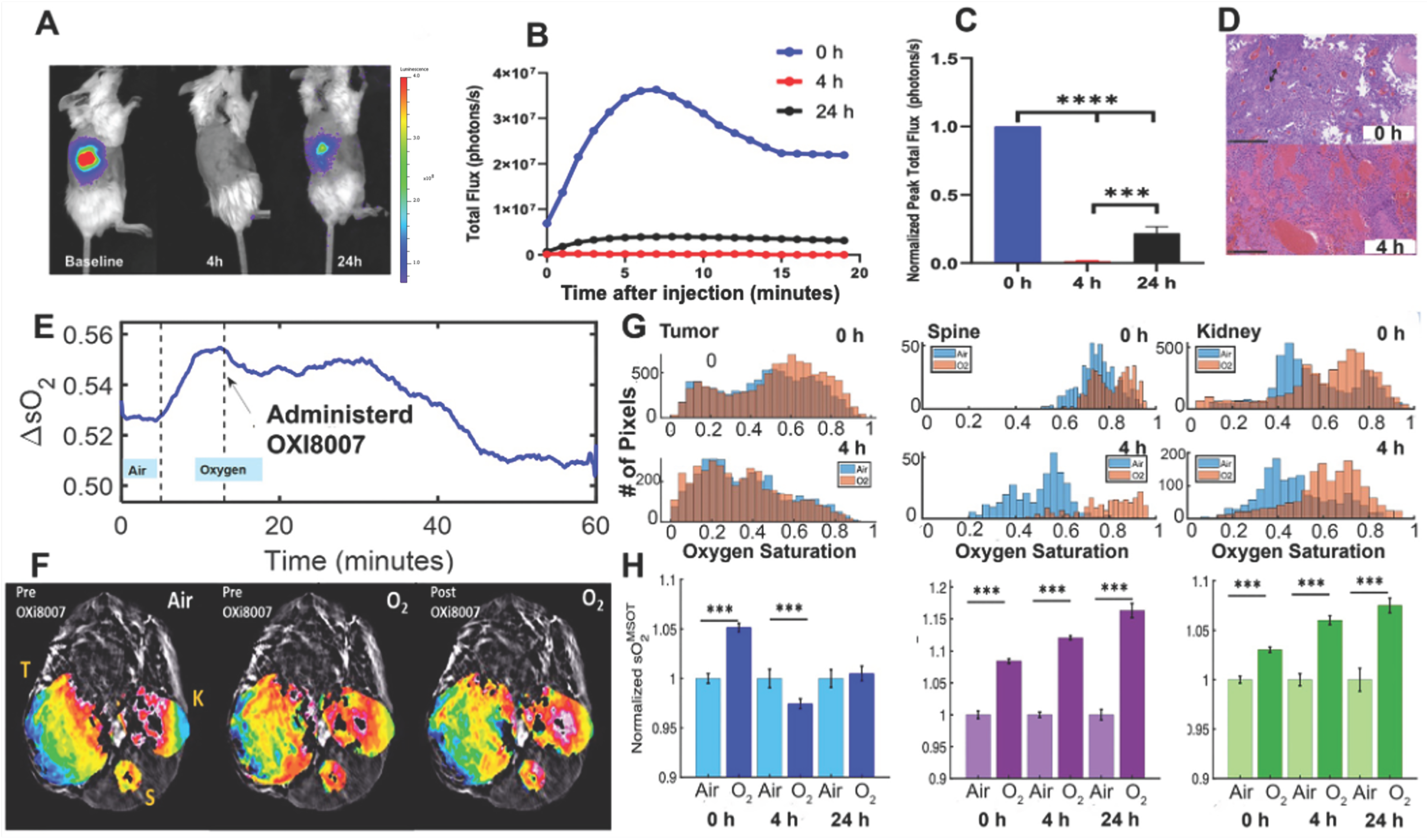 Cancers 17 00771 g006 Cancers 17 00771 g006