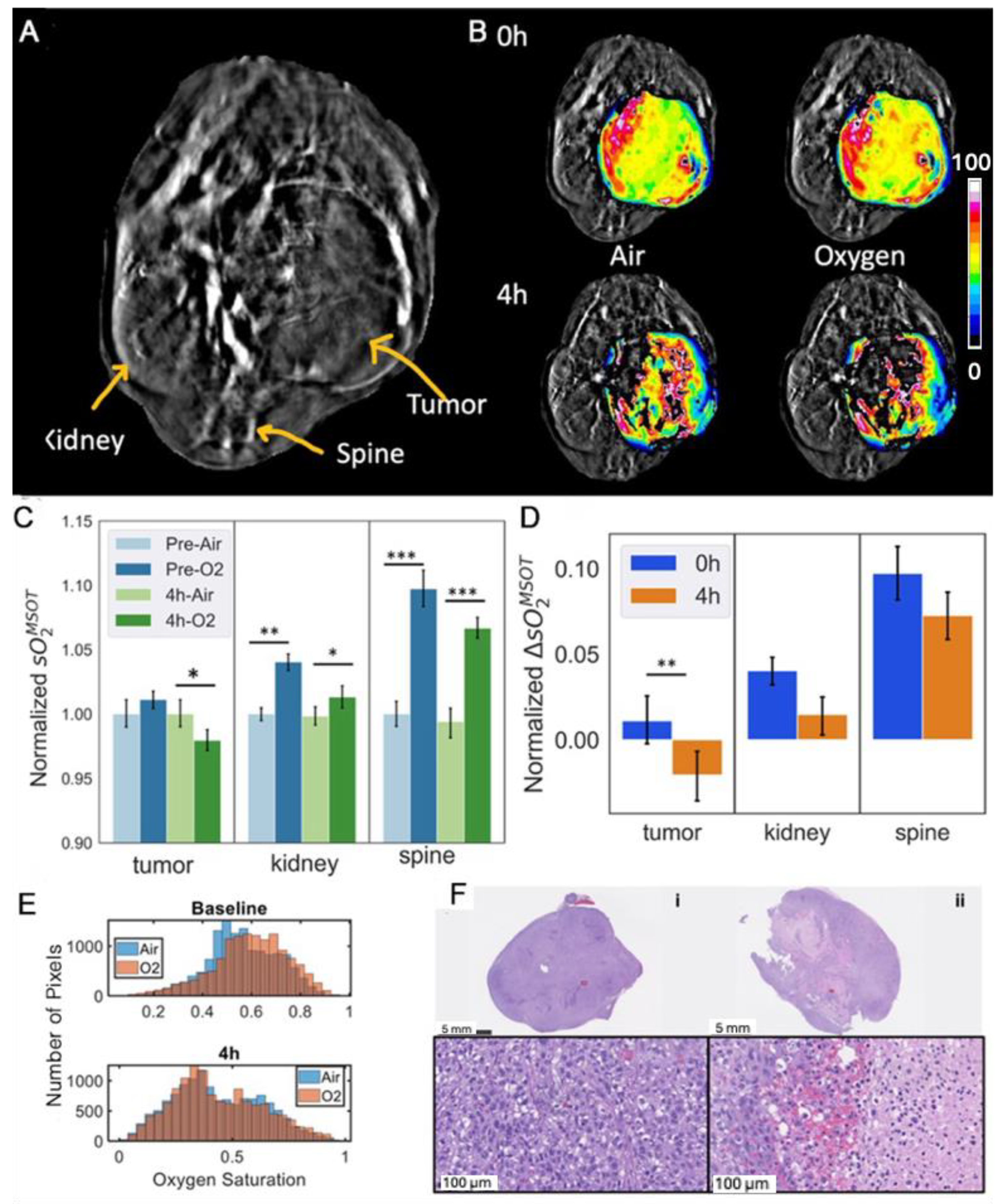 Cancers 17 00771 g009 Cancers 17 00771 g009