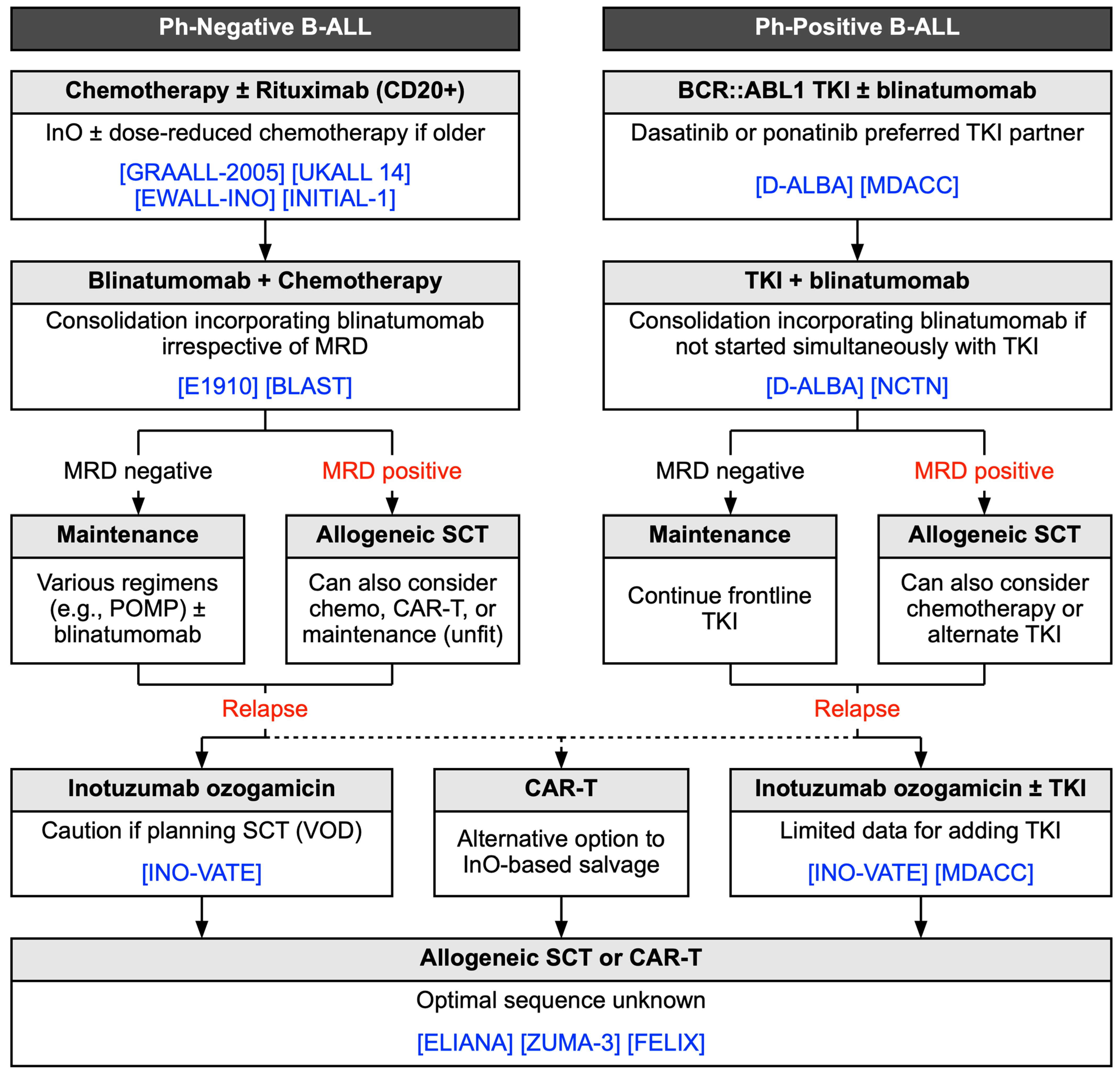 Cancers 17 00779 g002