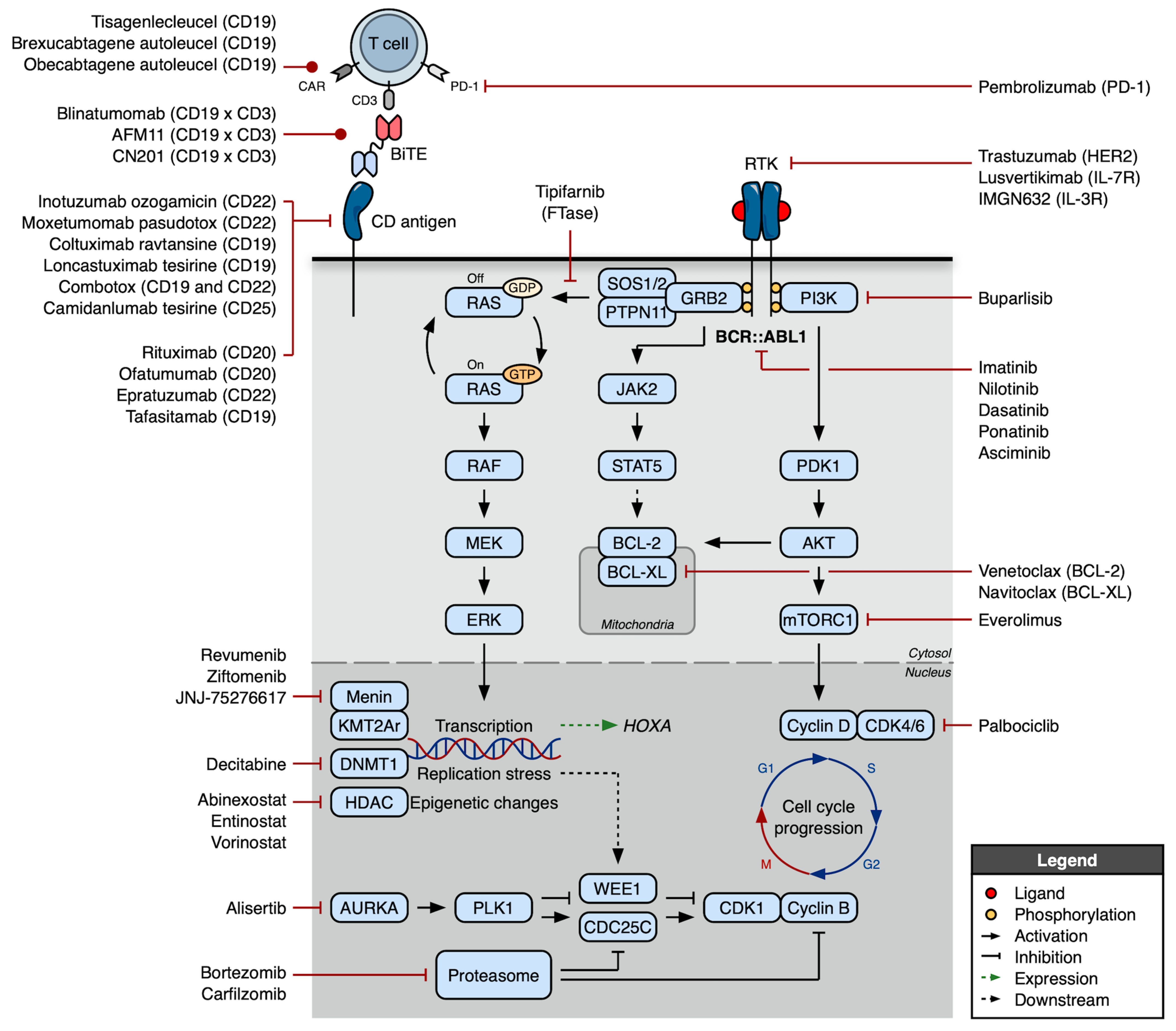 Cancers 17 00779 g003