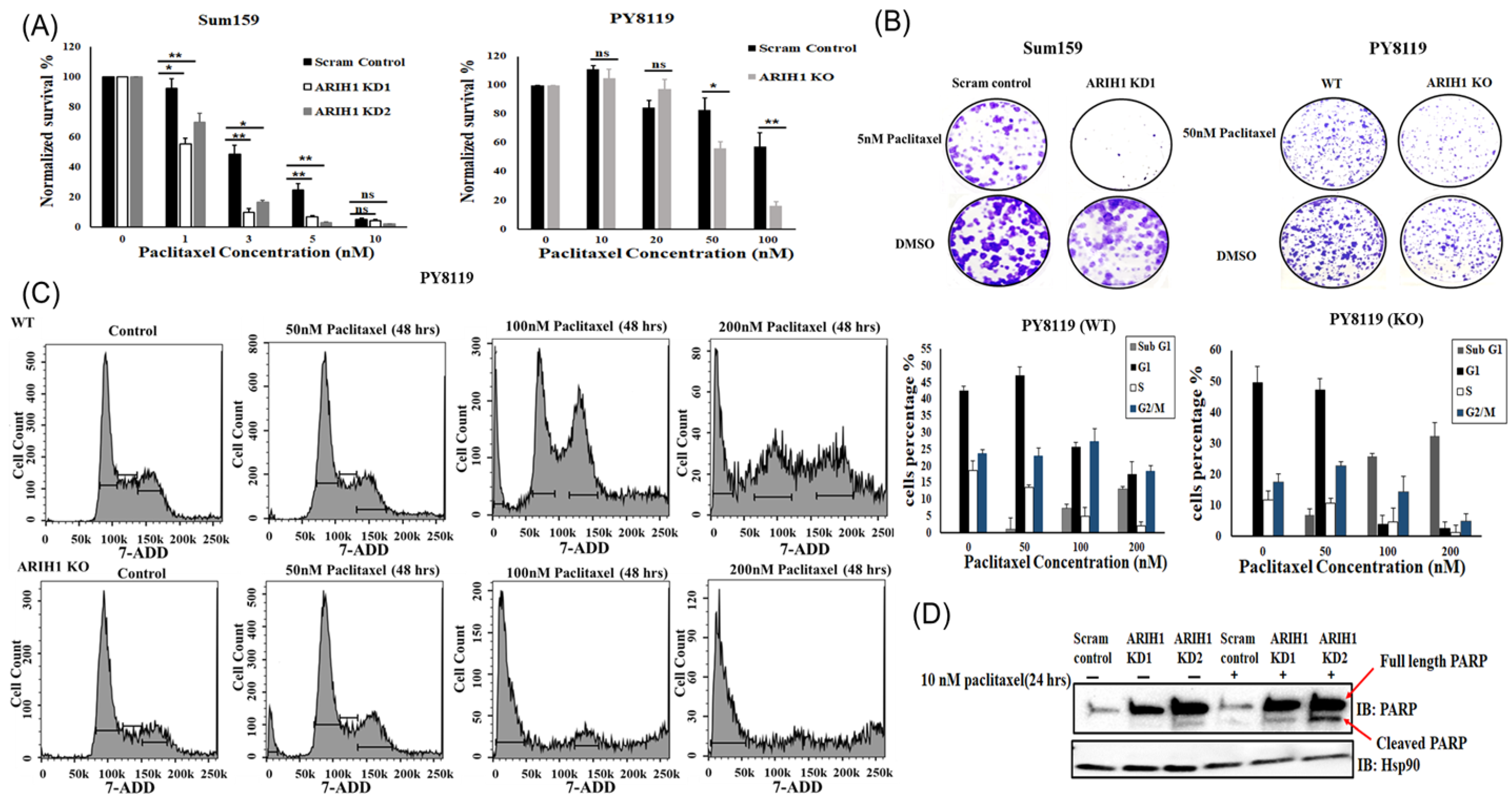 Cancers 17 00782 g004