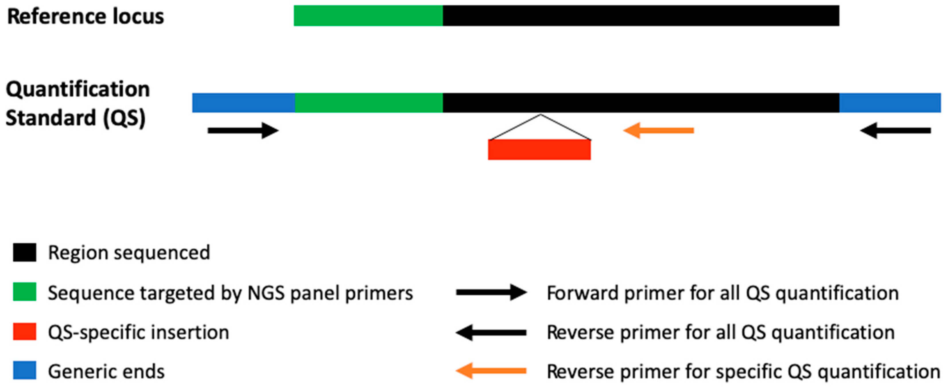 Cancers 17 00783 g001