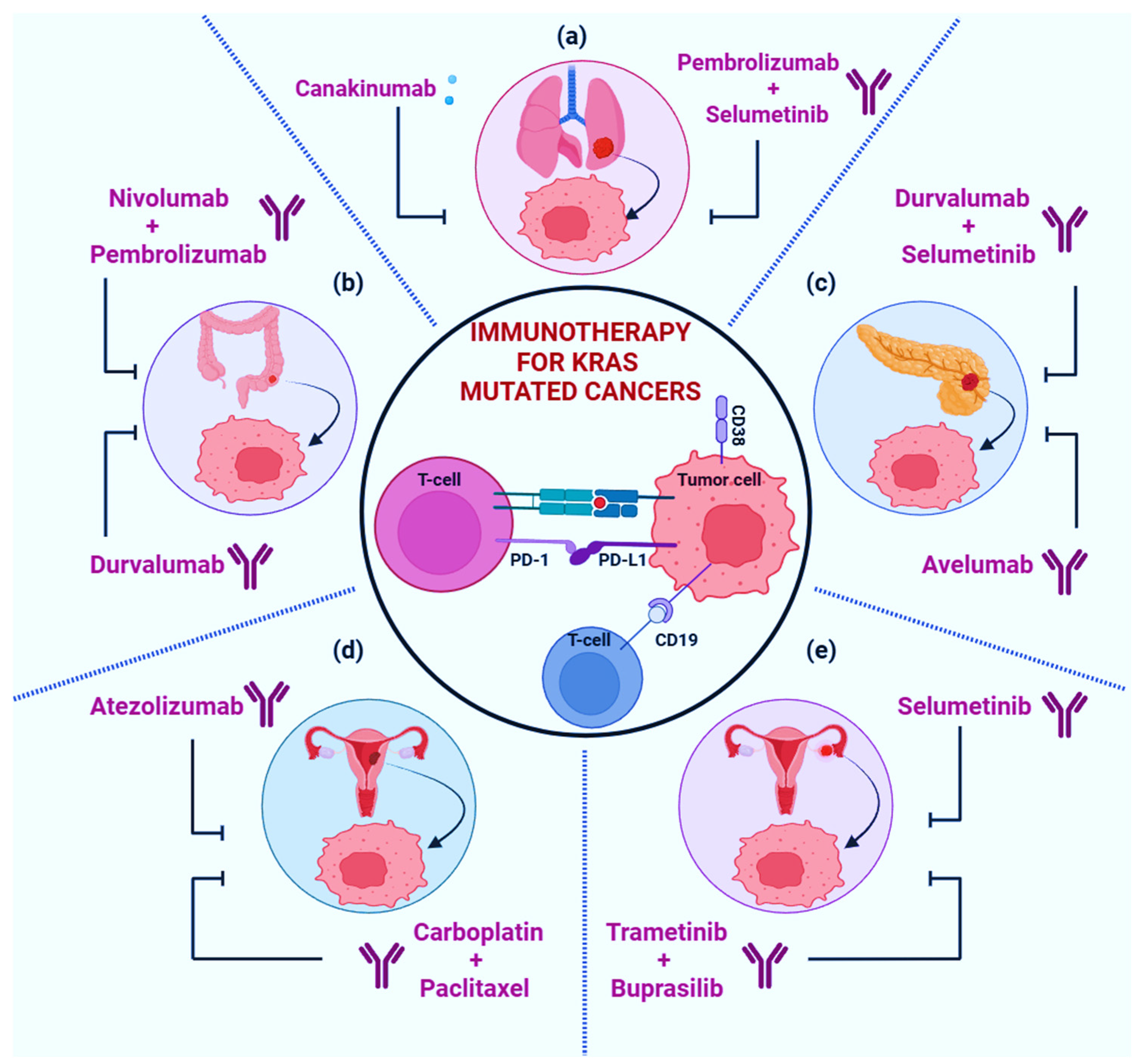 Cancers 17 00785 g006