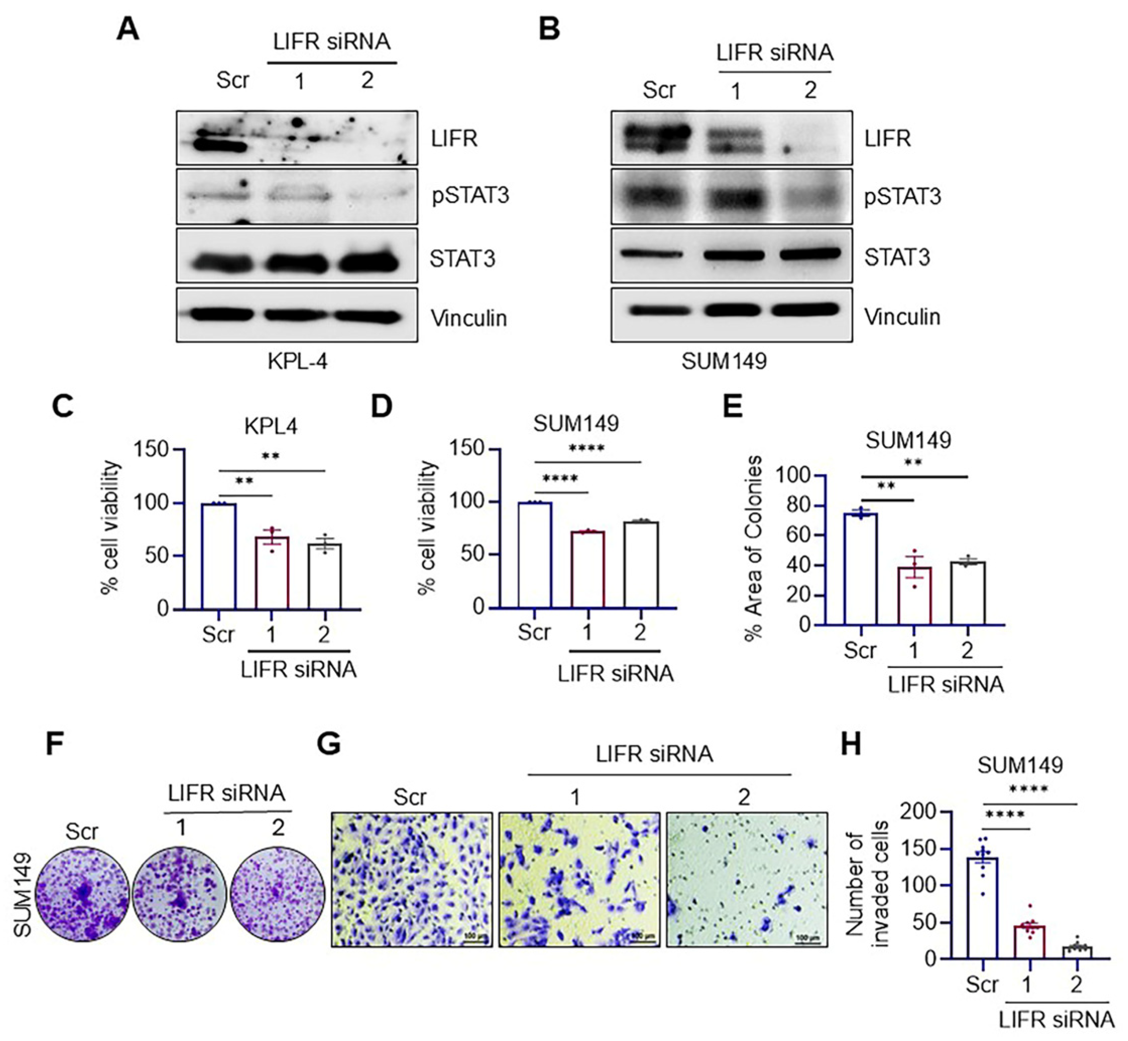 Cancers 17 00790 g001
