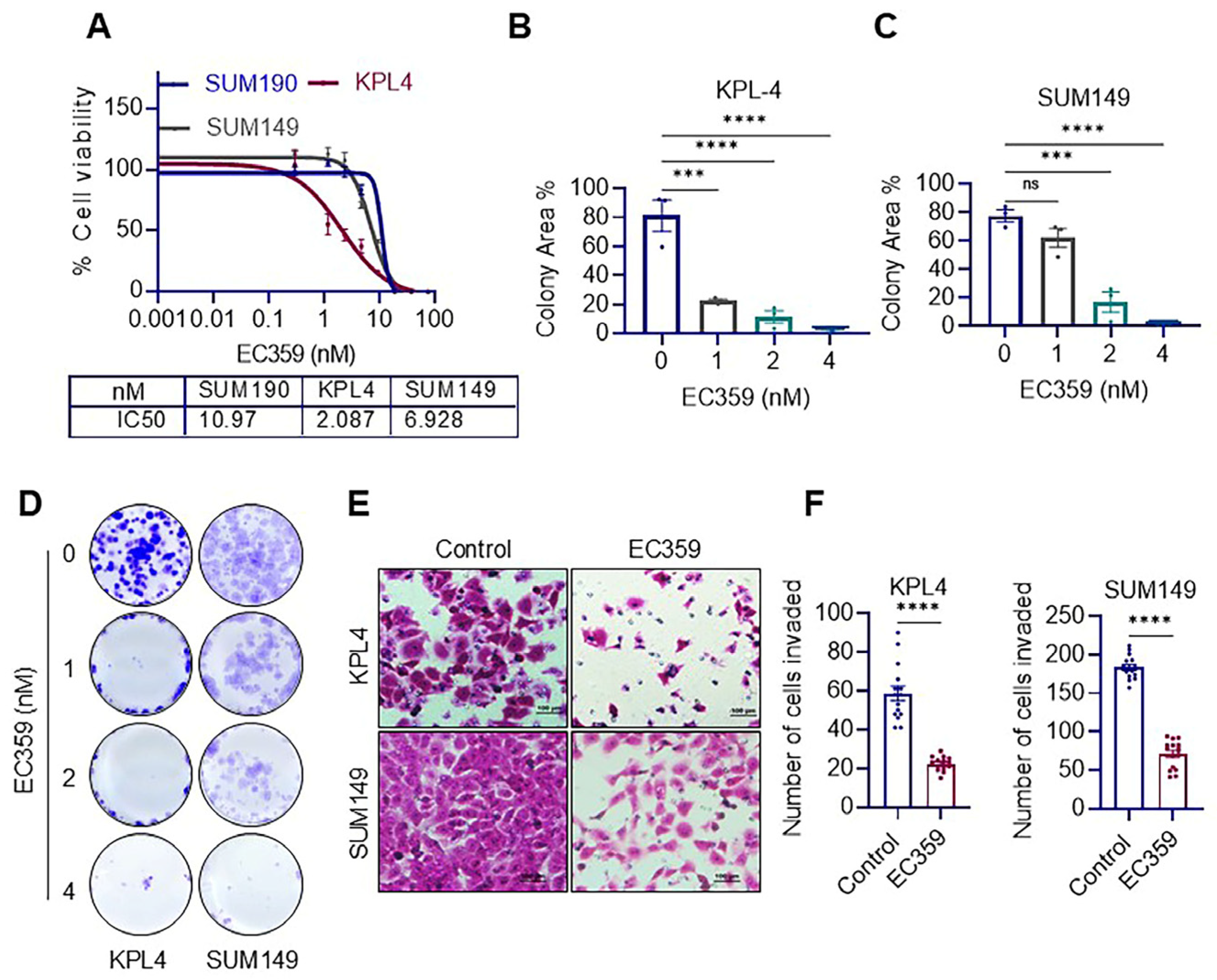 Cancers 17 00790 g002