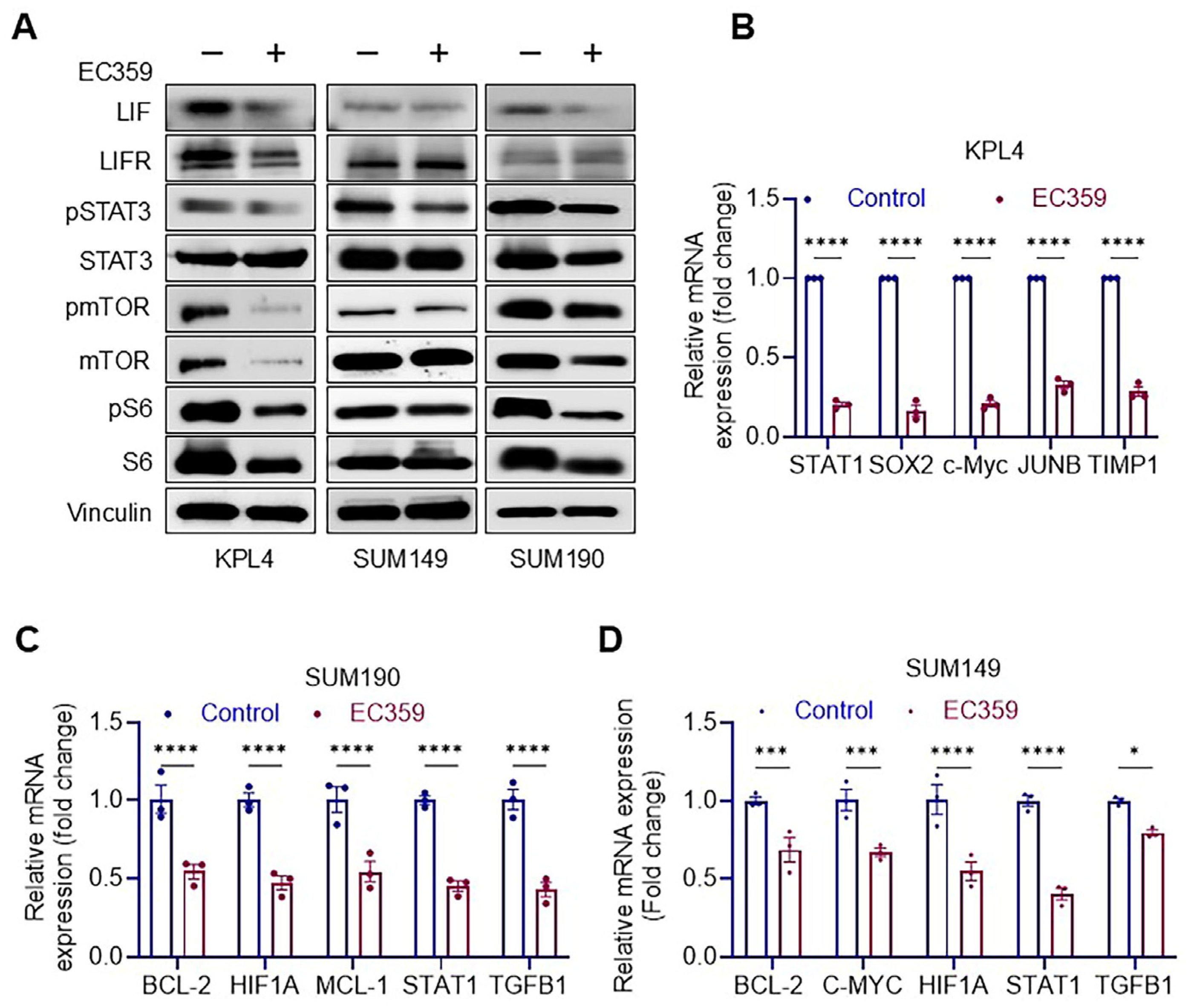 Cancers 17 00790 g003