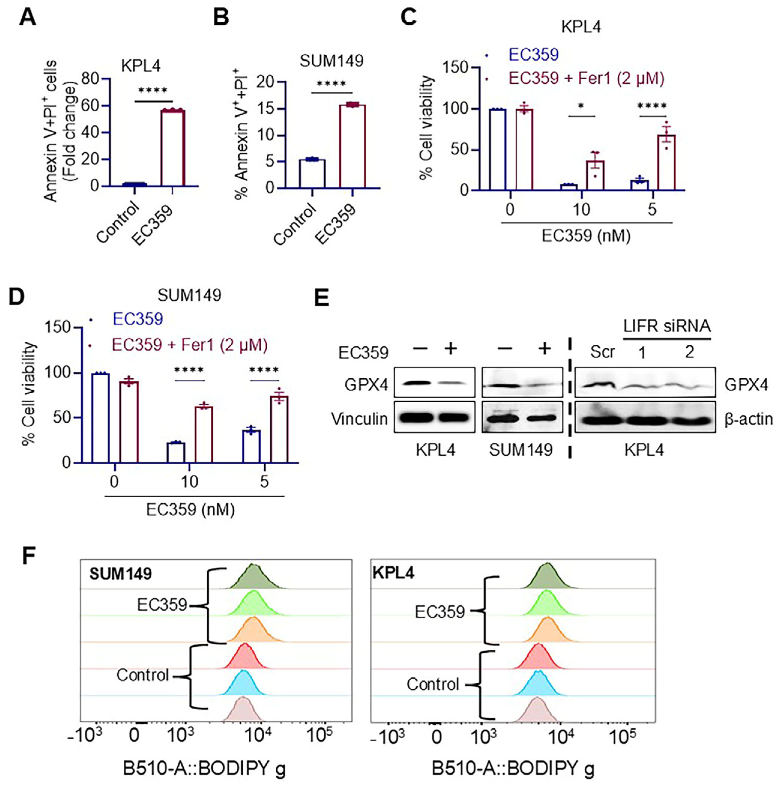 Cancers 17 00790 g004