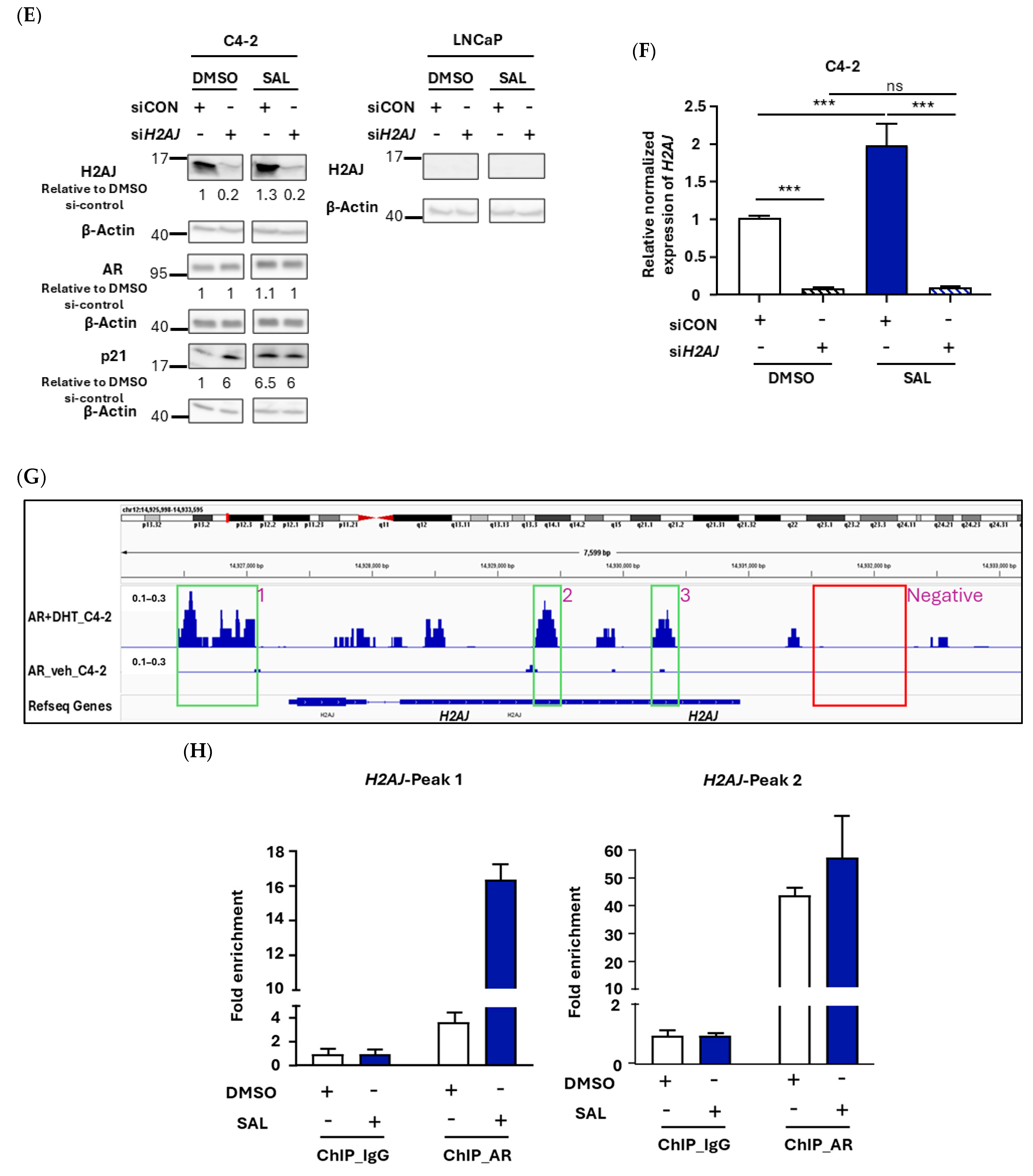 Cancers 17 00791 g001b