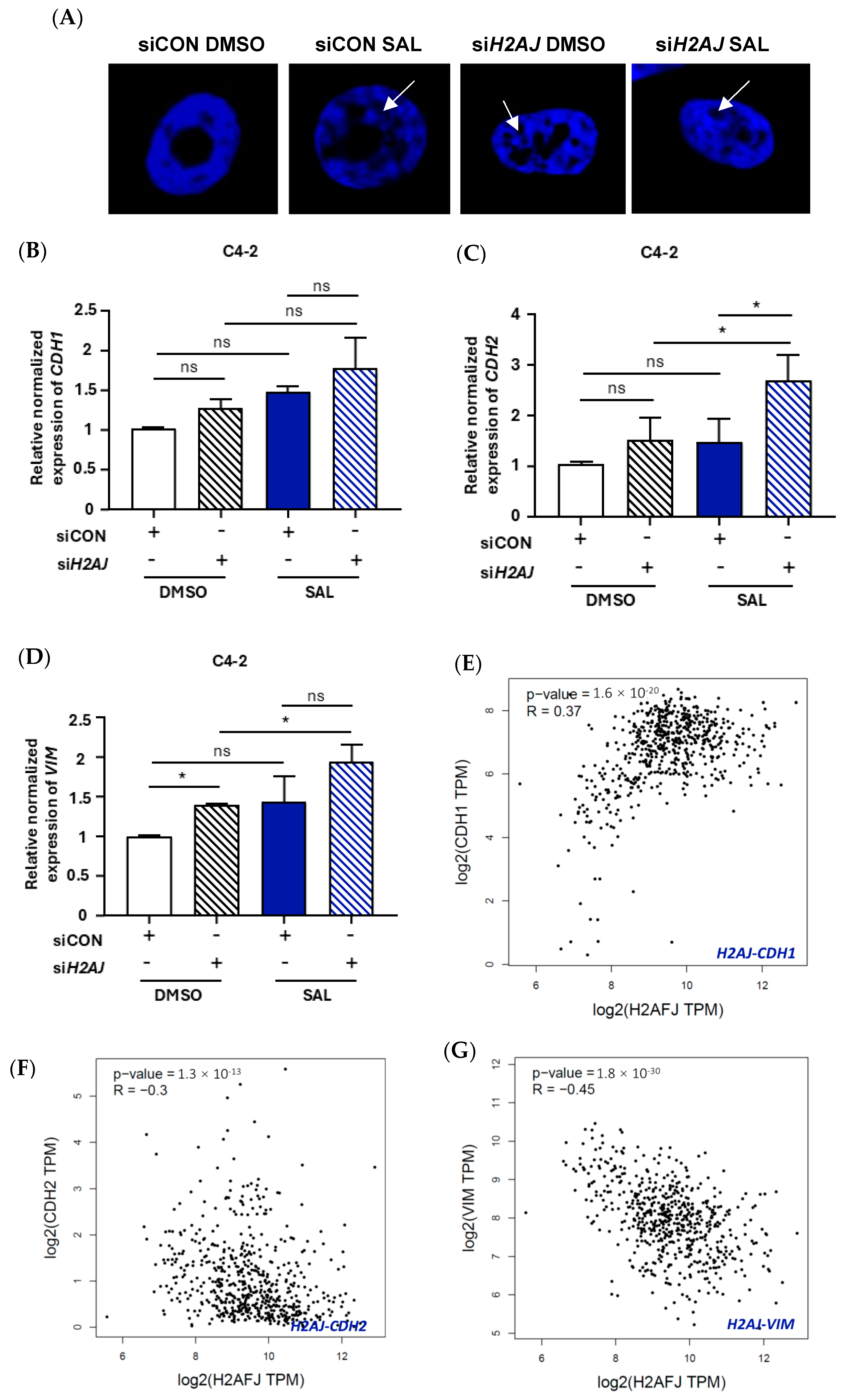 Cancers 17 00791 g003