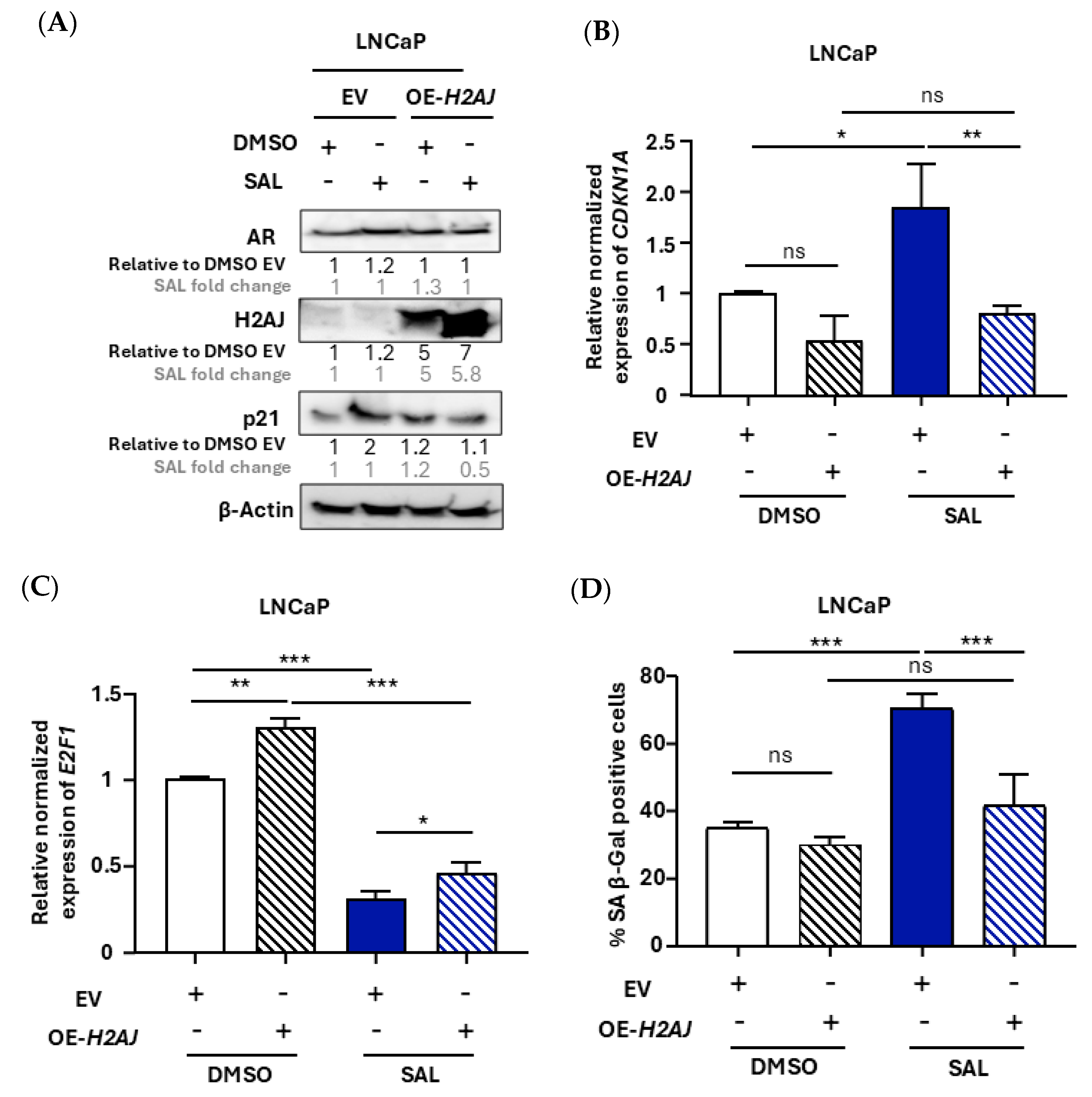 Cancers 17 00791 g004a