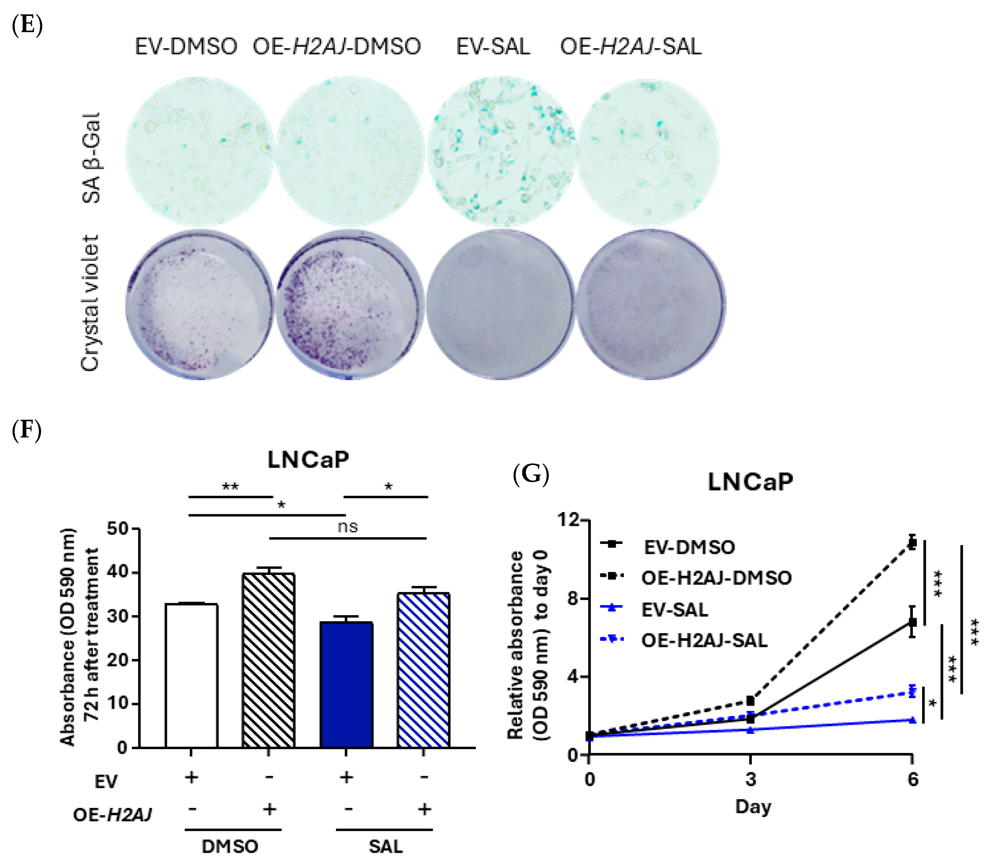 Cancers 17 00791 g004b