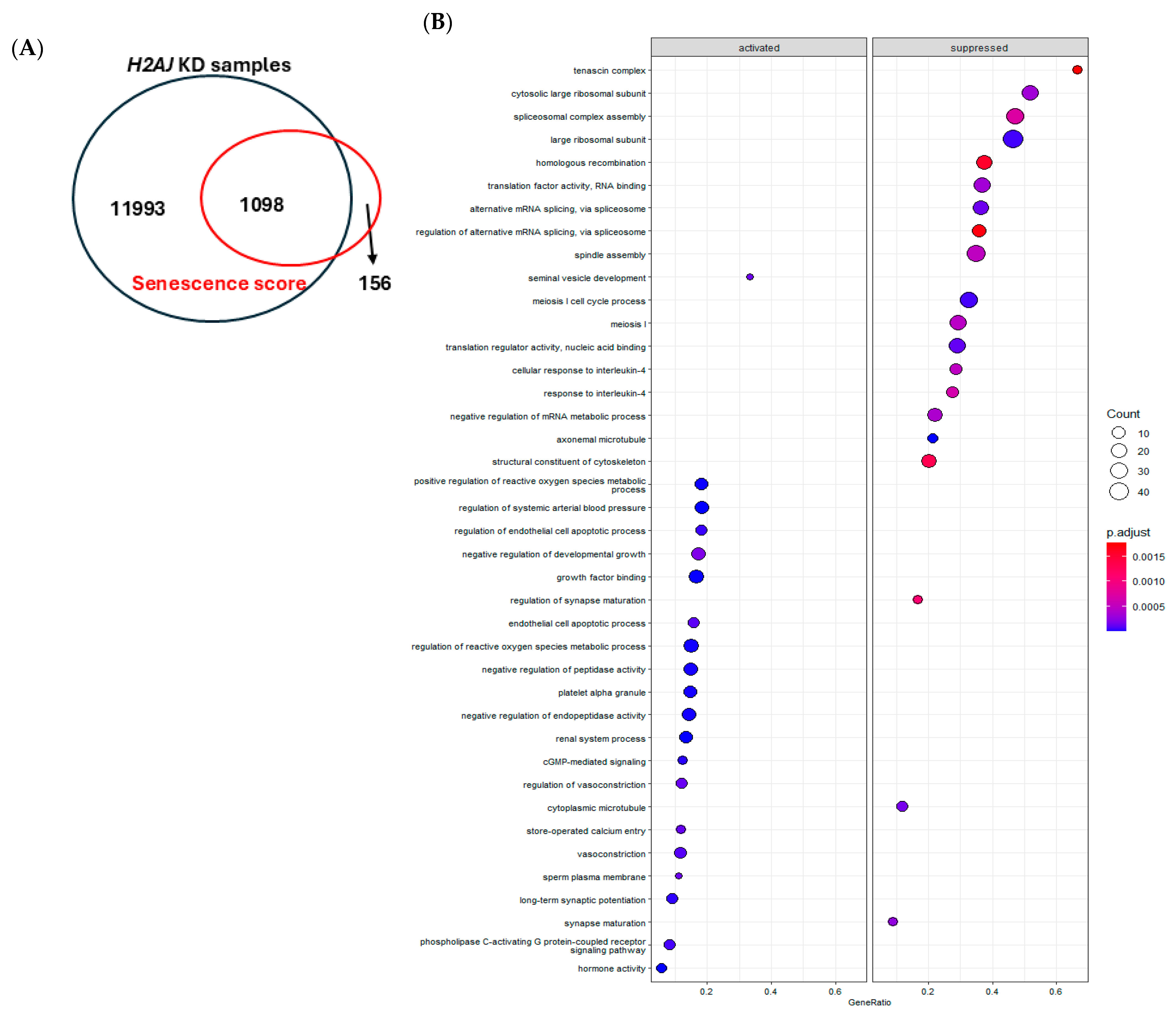 Cancers 17 00791 g005a