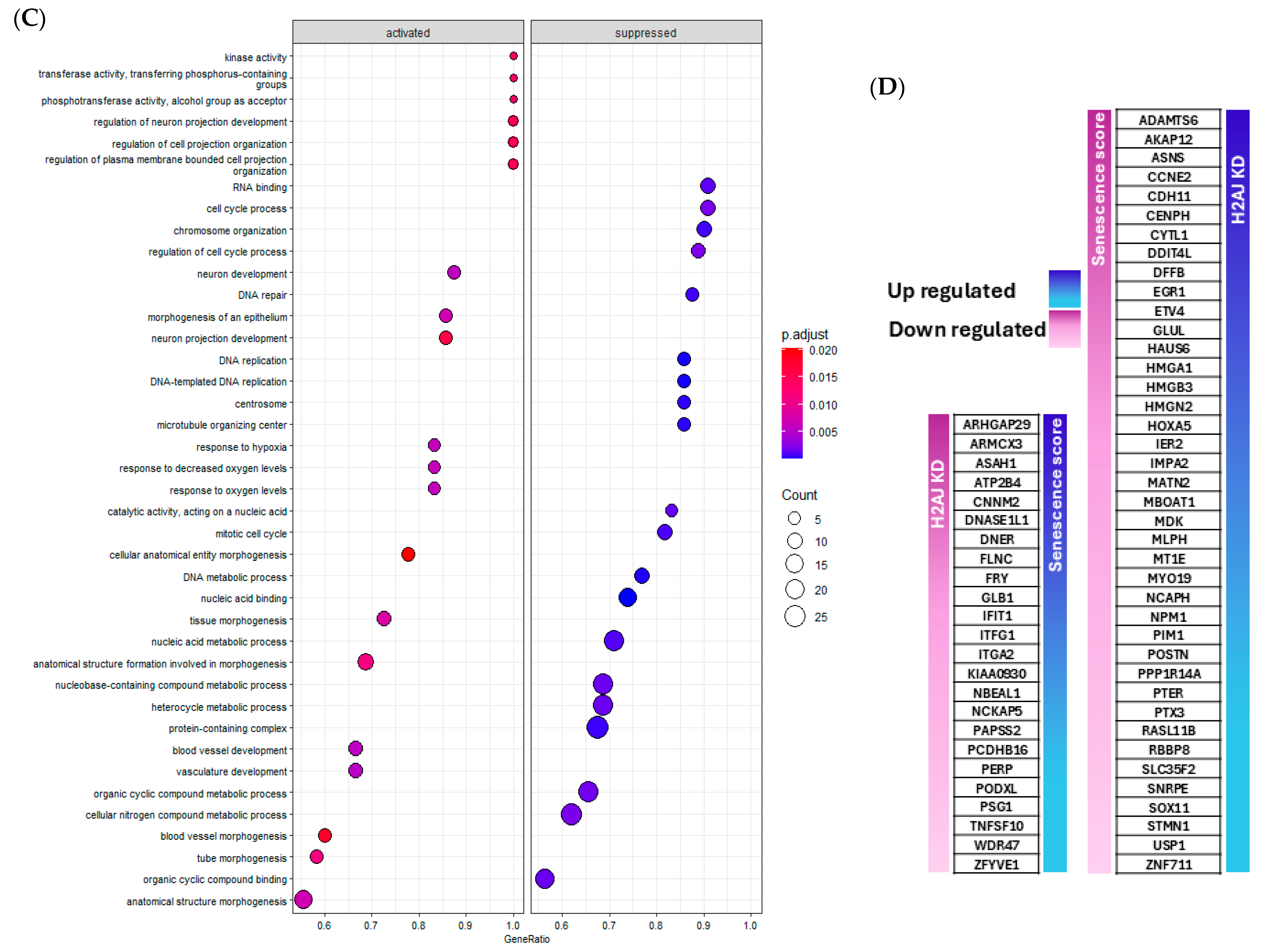 Cancers 17 00791 g005b
