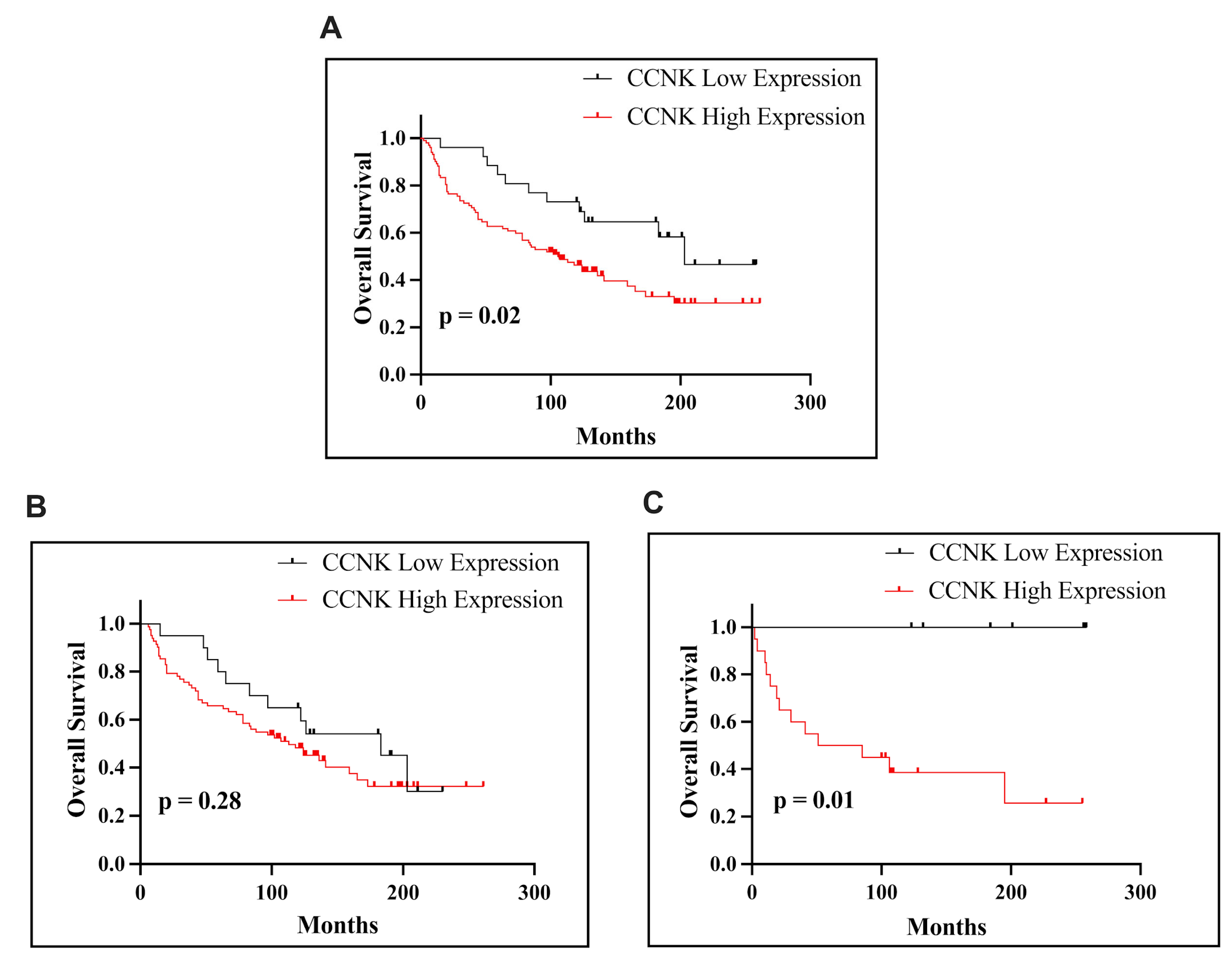 Cancers 17 00792 g003