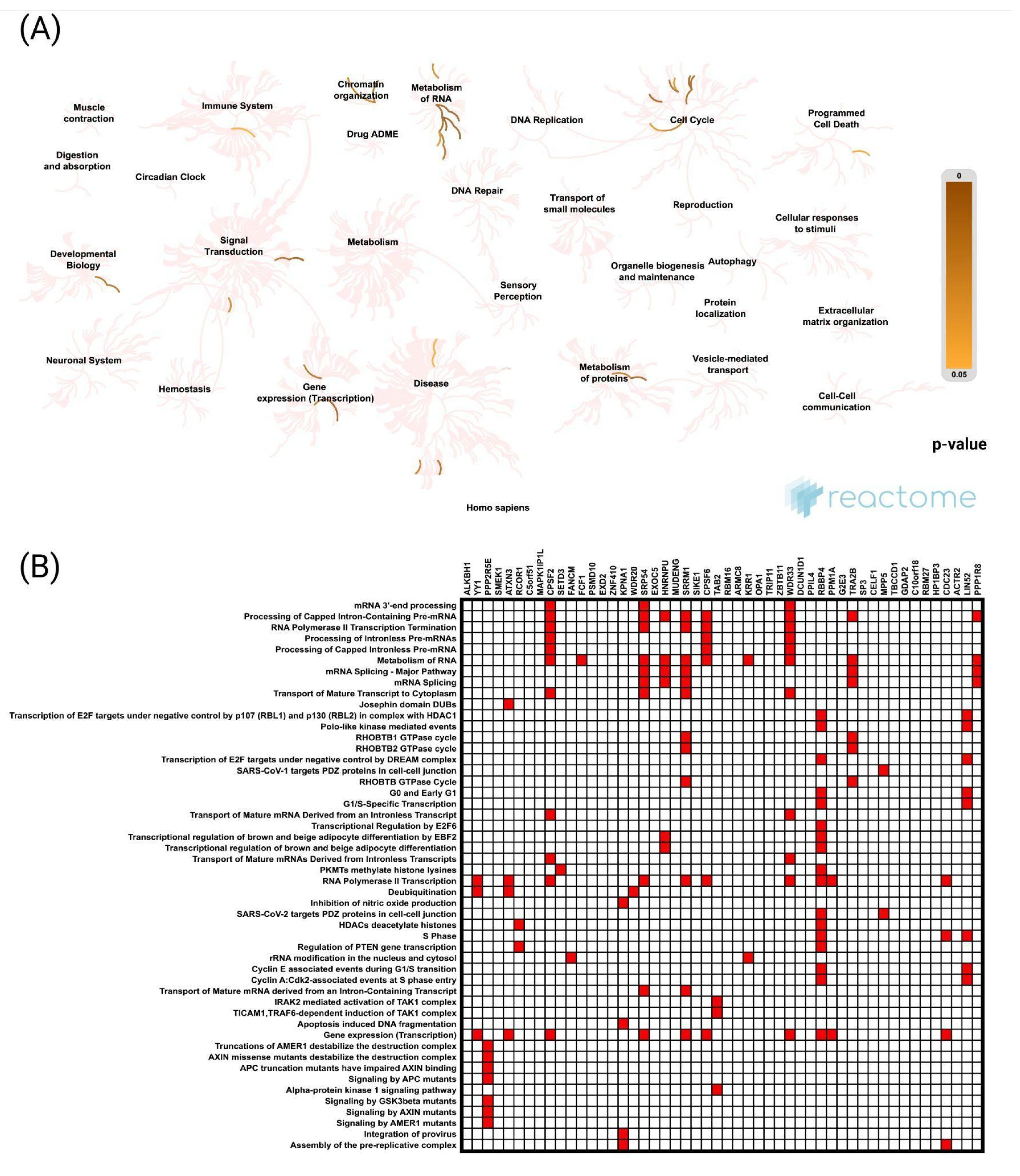 Cancers 17 00792 g005