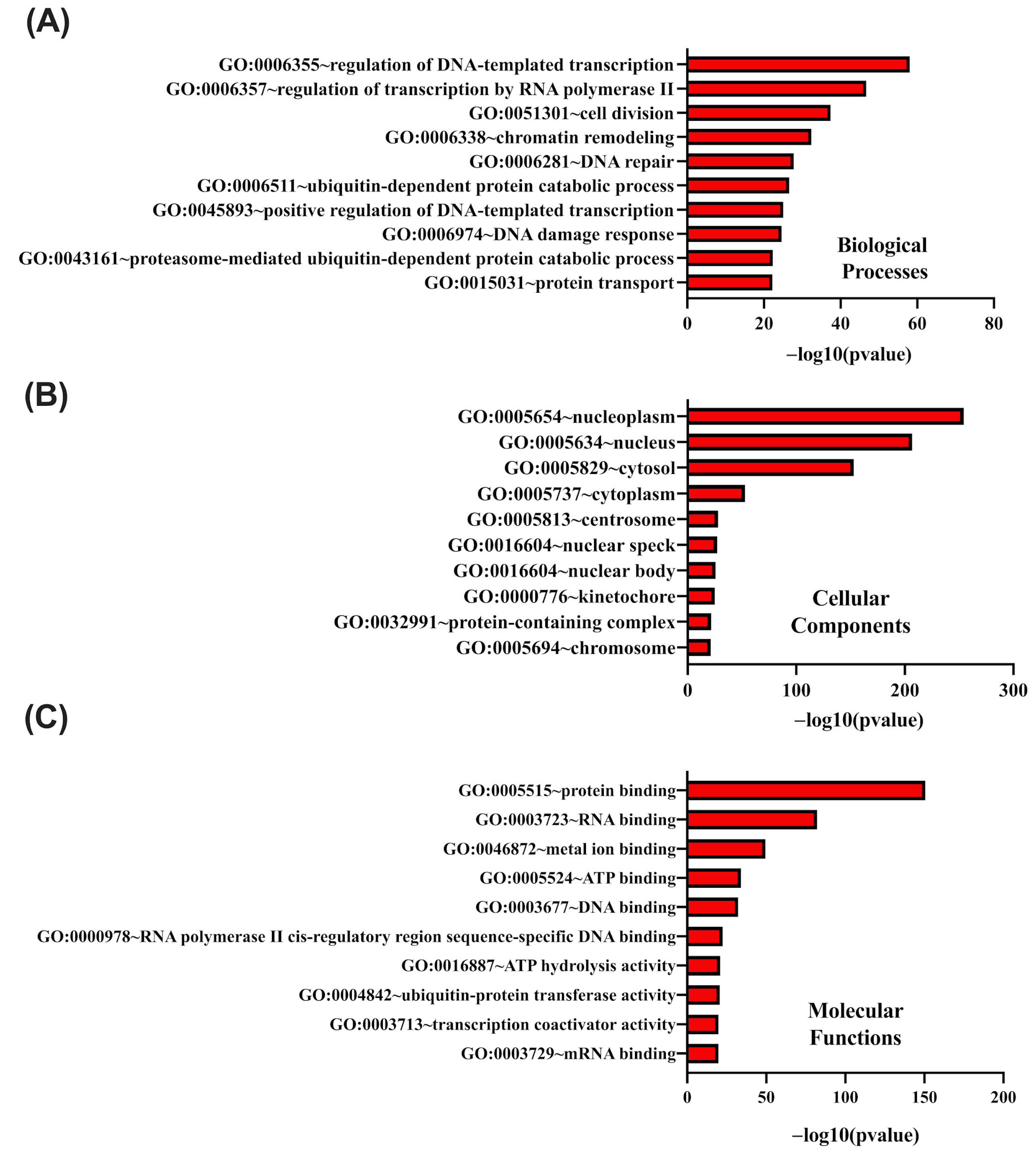 Cancers 17 00792 g007