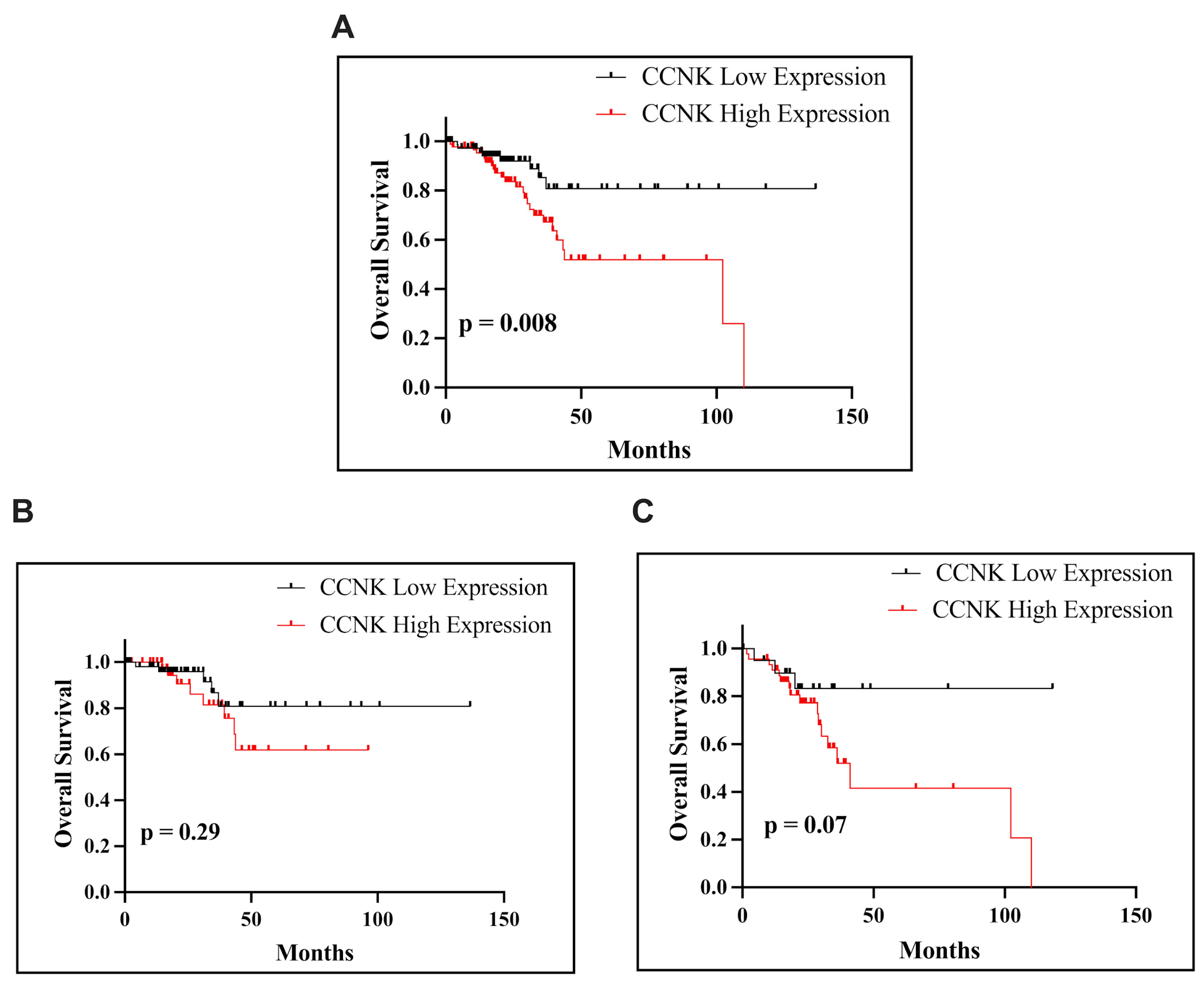 Cancers 17 00792 g008