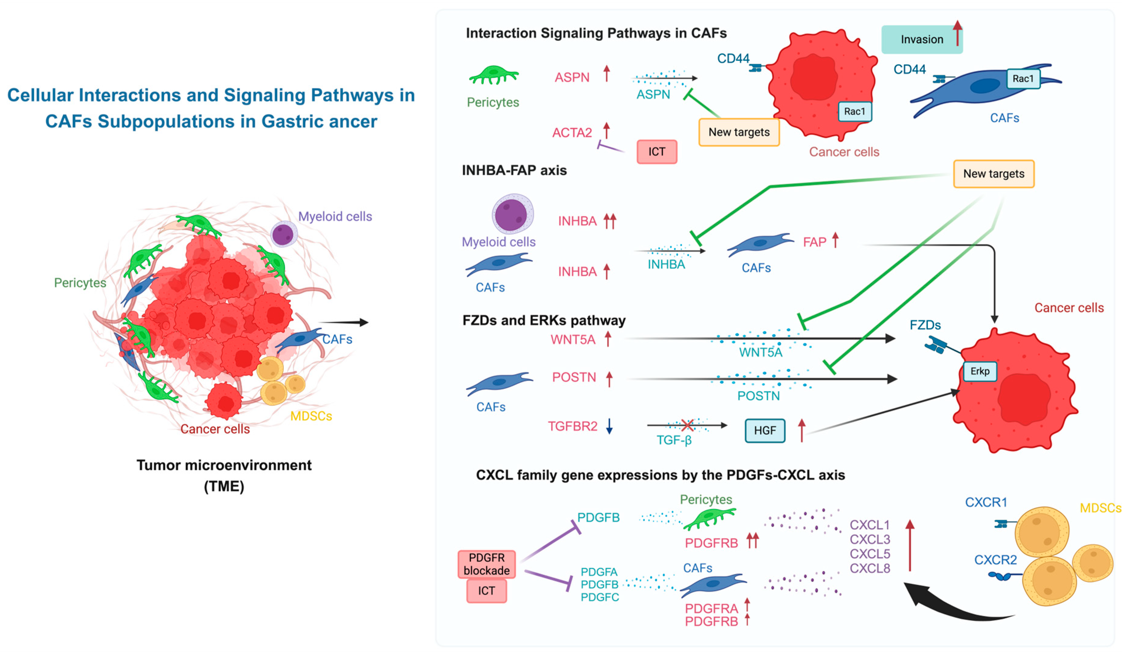 Cancers 17 00795 g001