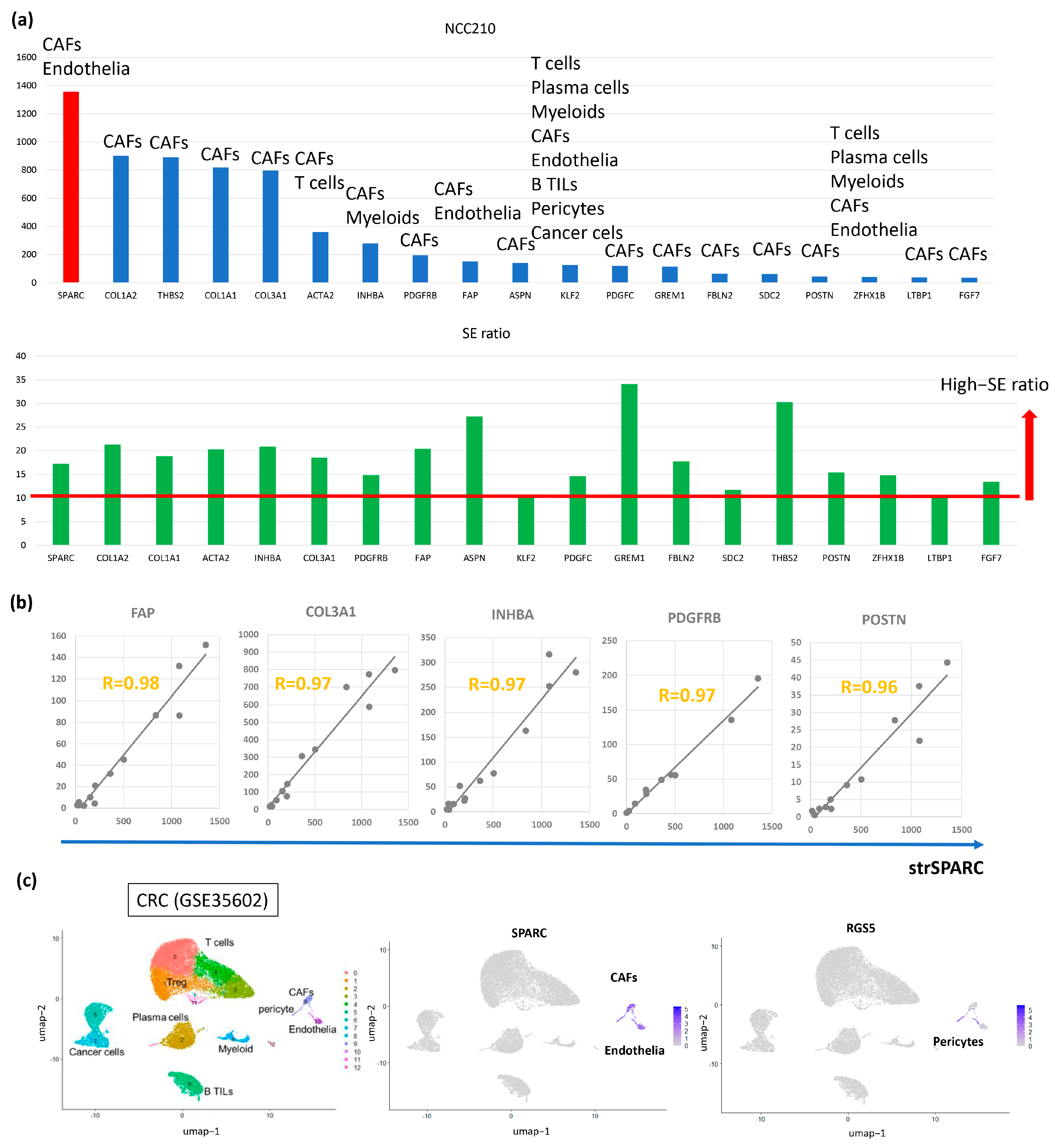 Cancers 17 00795 g002