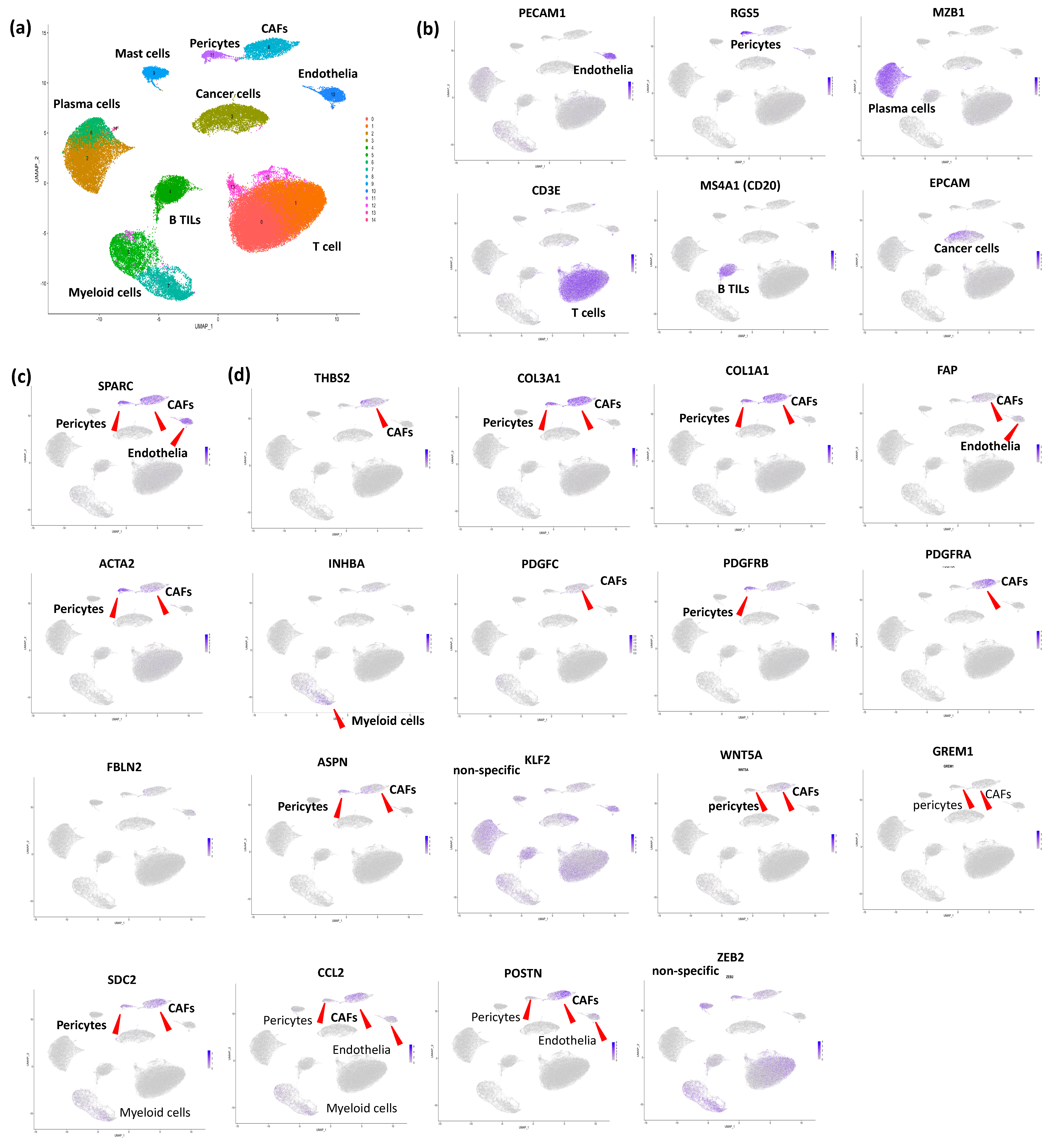 Cancers 17 00795 g003