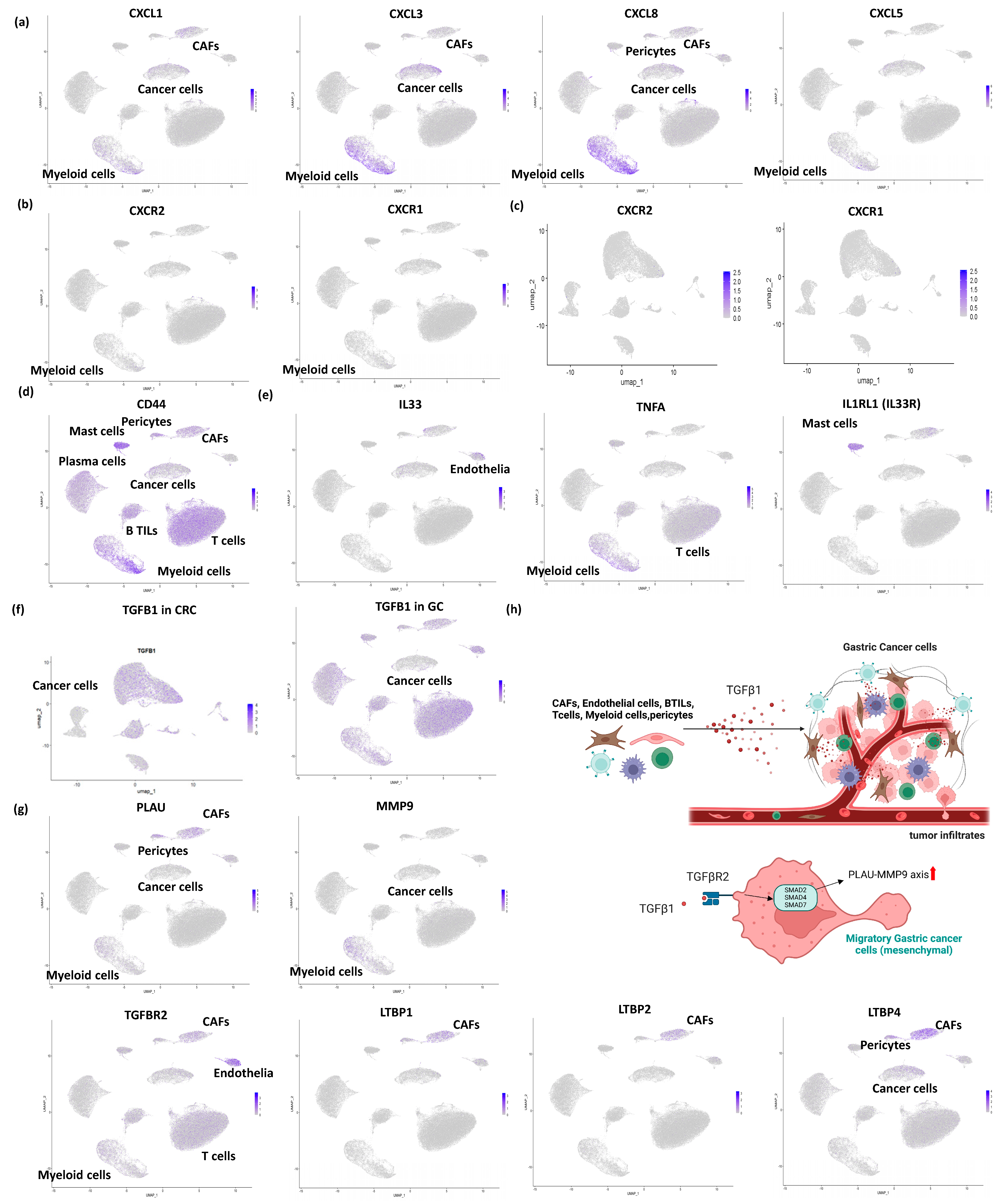 Cancers 17 00795 g004