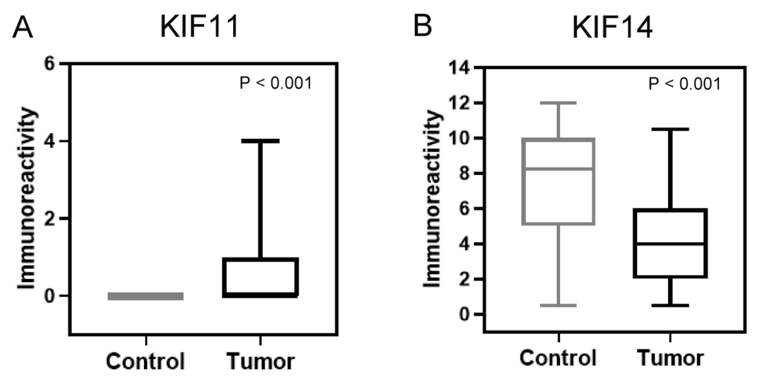 Cancers 17 00804 g002 Cancers 17 00804 g002