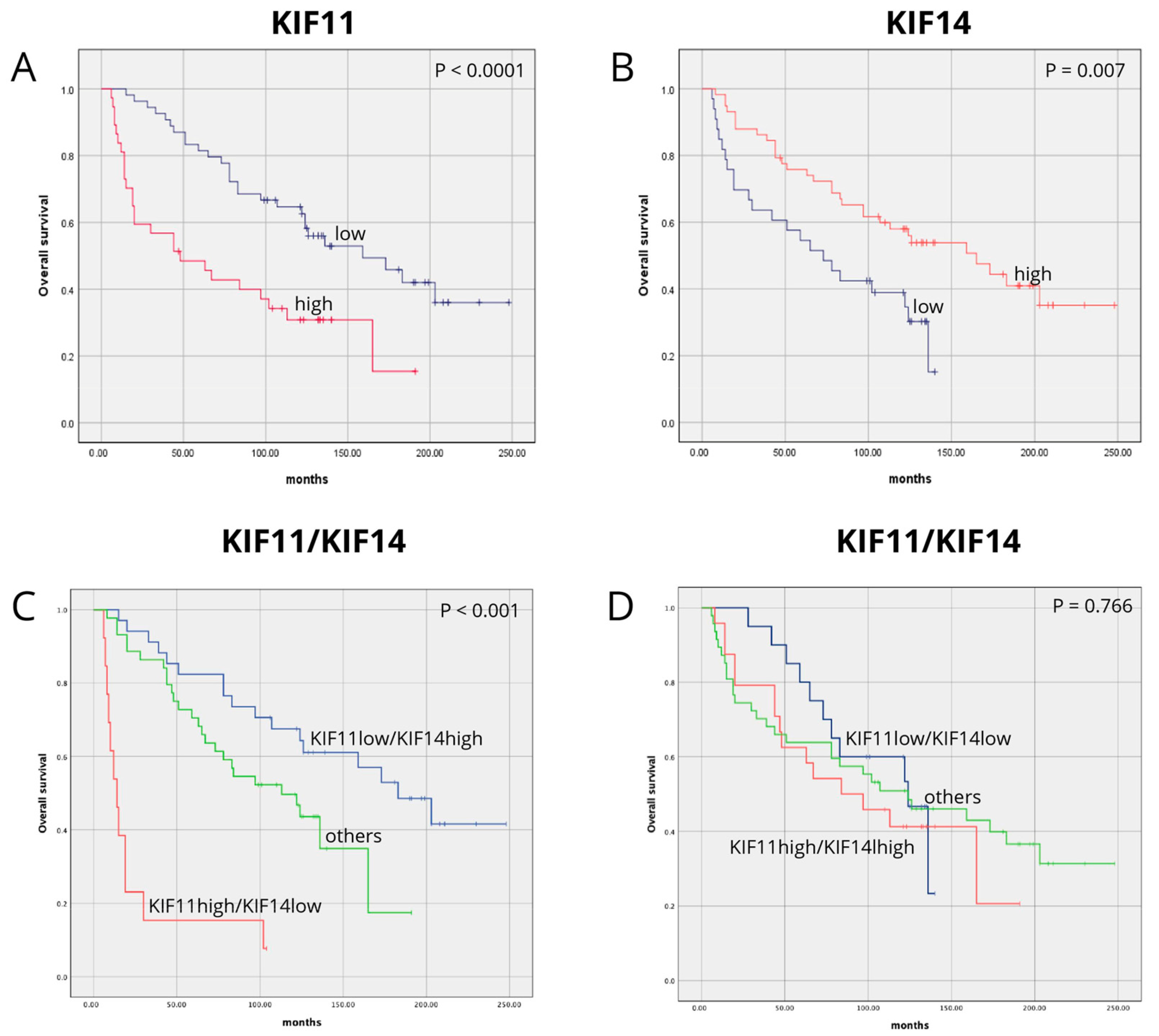 Cancers 17 00804 g003 Cancers 17 00804 g003