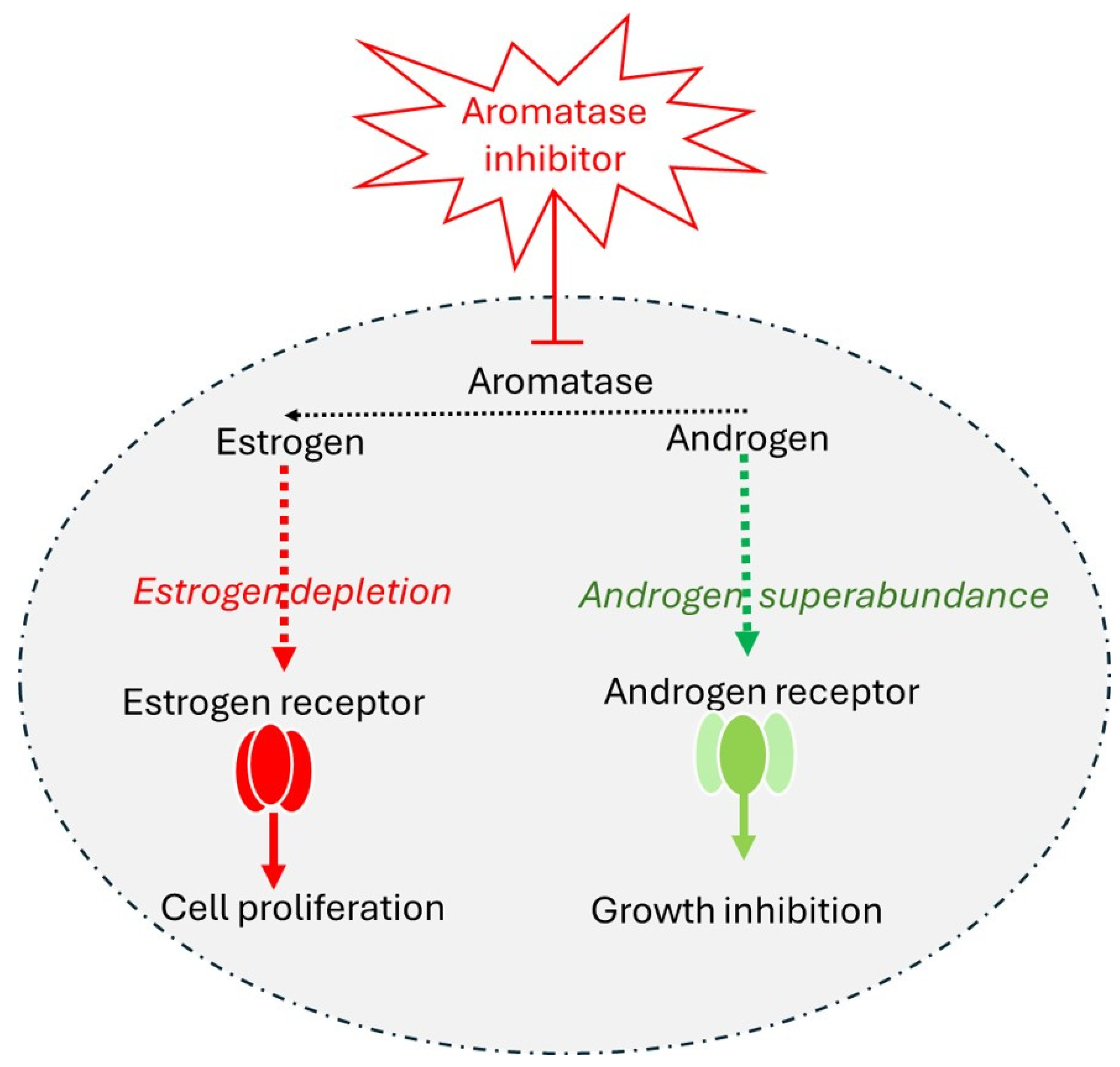 Cancers 17 00808 g003 Cancers 17 00808 g003