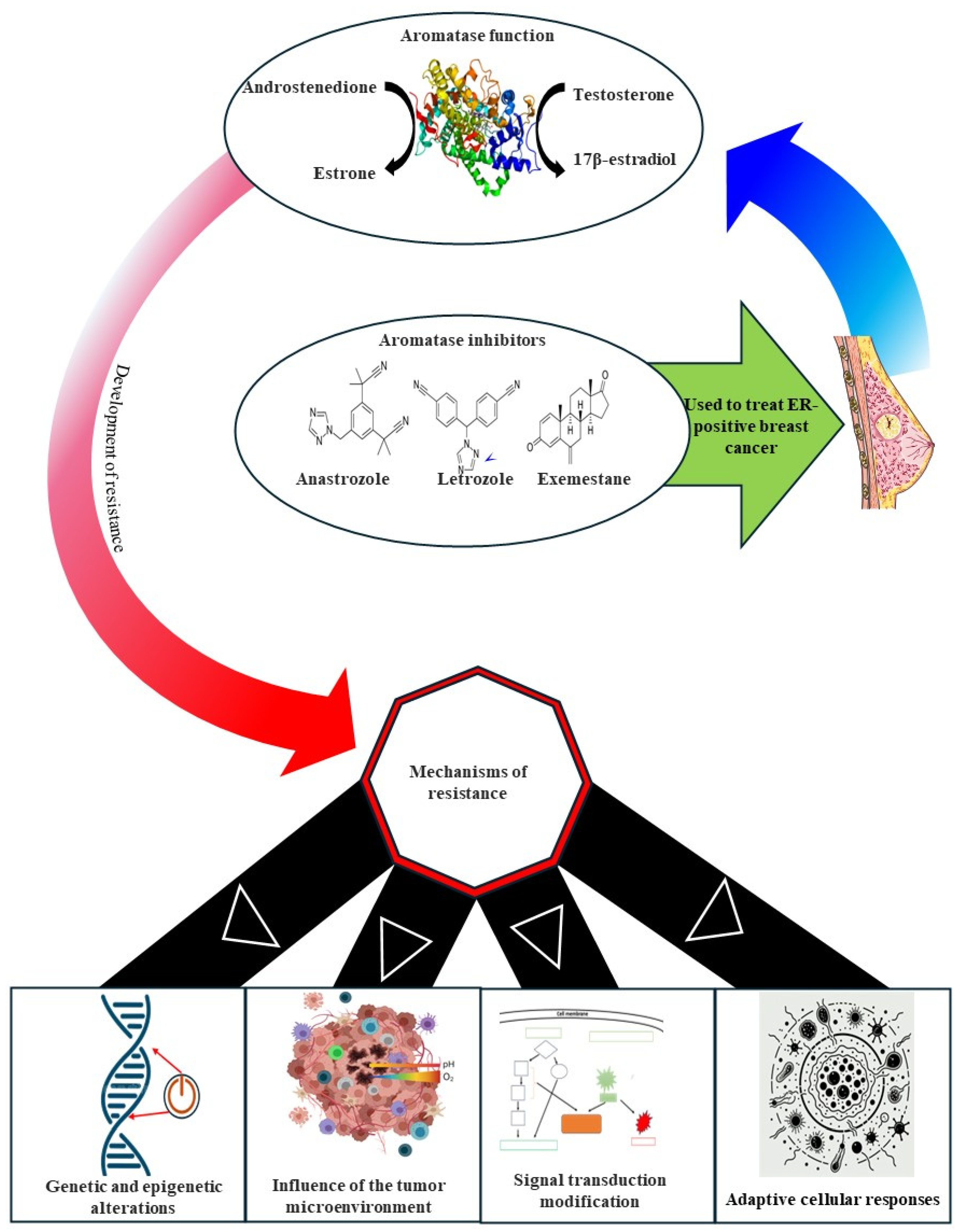 Cancers 17 00808 g005 Cancers 17 00808 g005