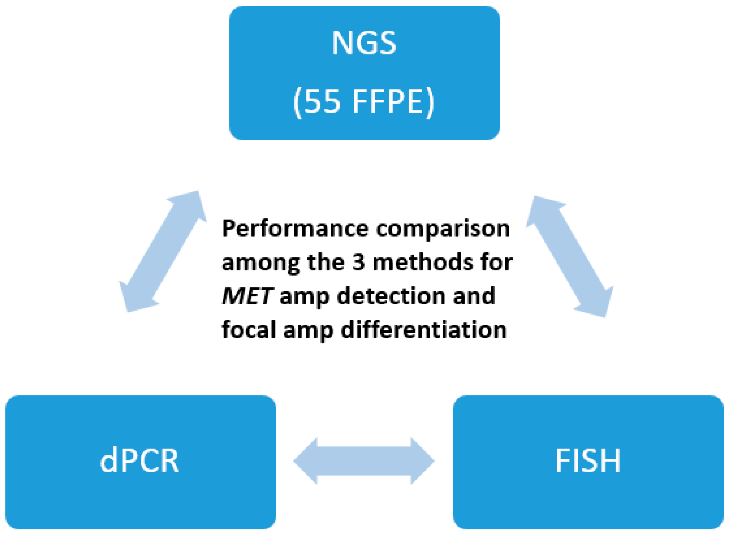 Cancers 17 00811 g001