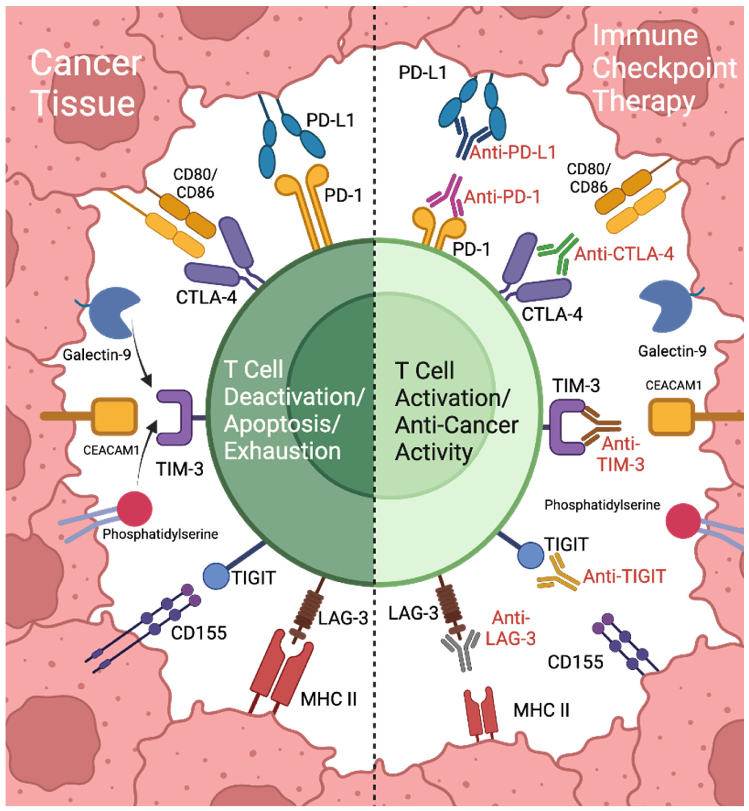 Cancers 17 00813 g001