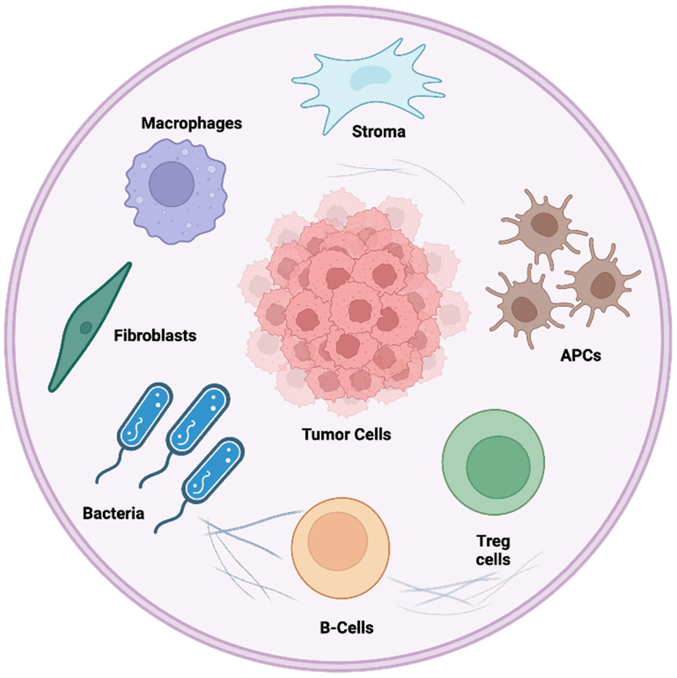 Cancers 17 00813 g002