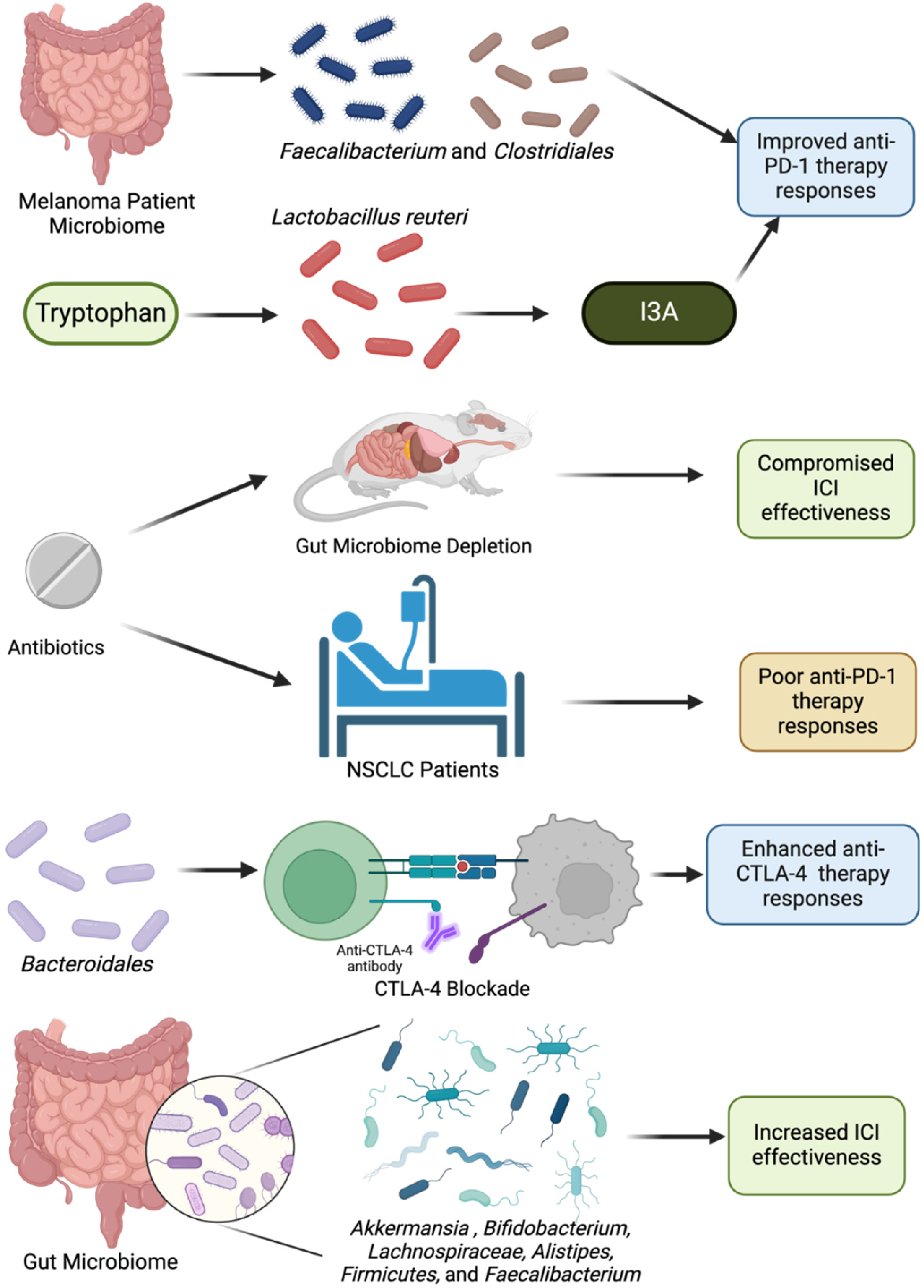 Cancers 17 00813 g004