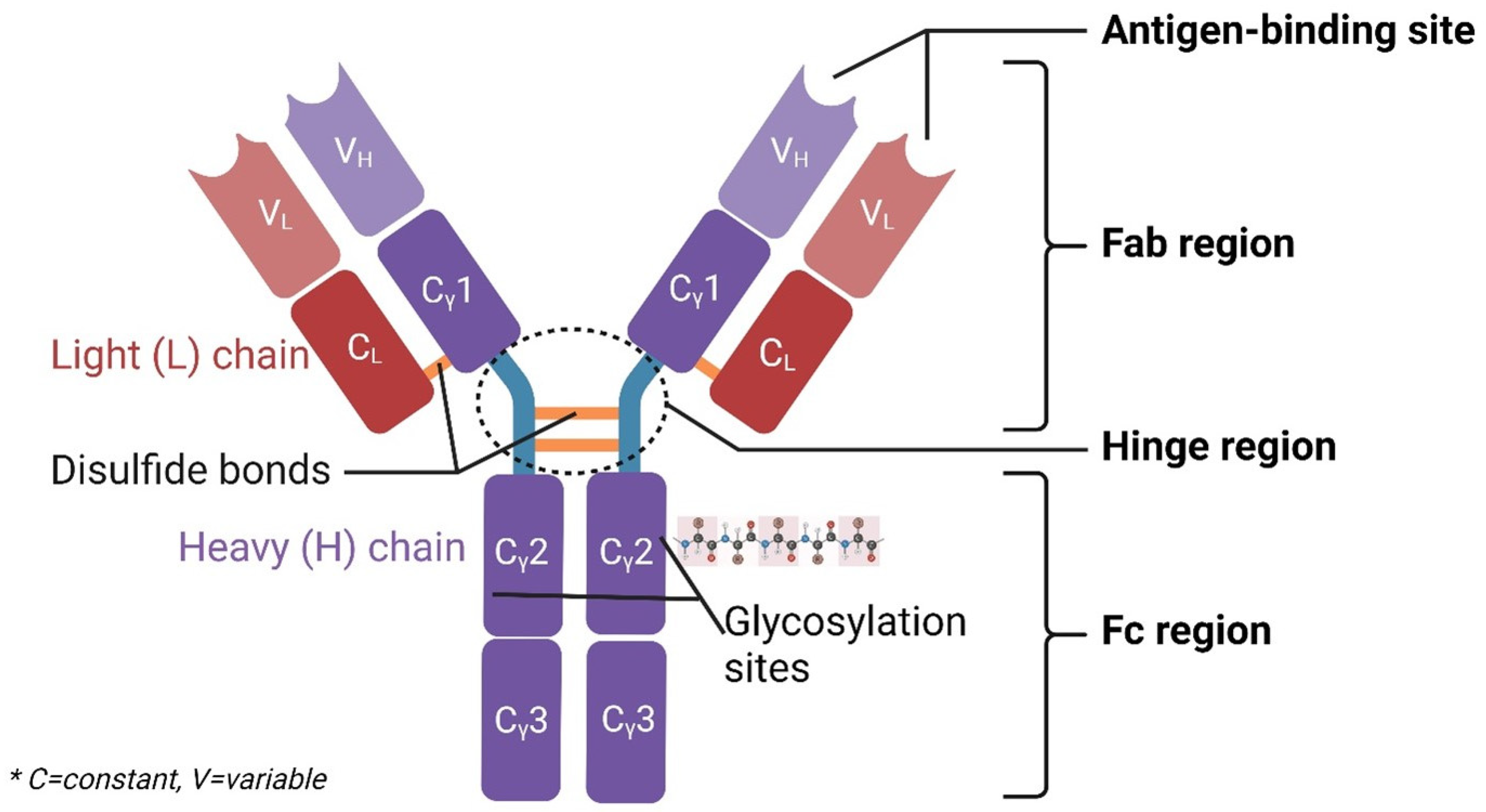 Cancers 17 00821 g001