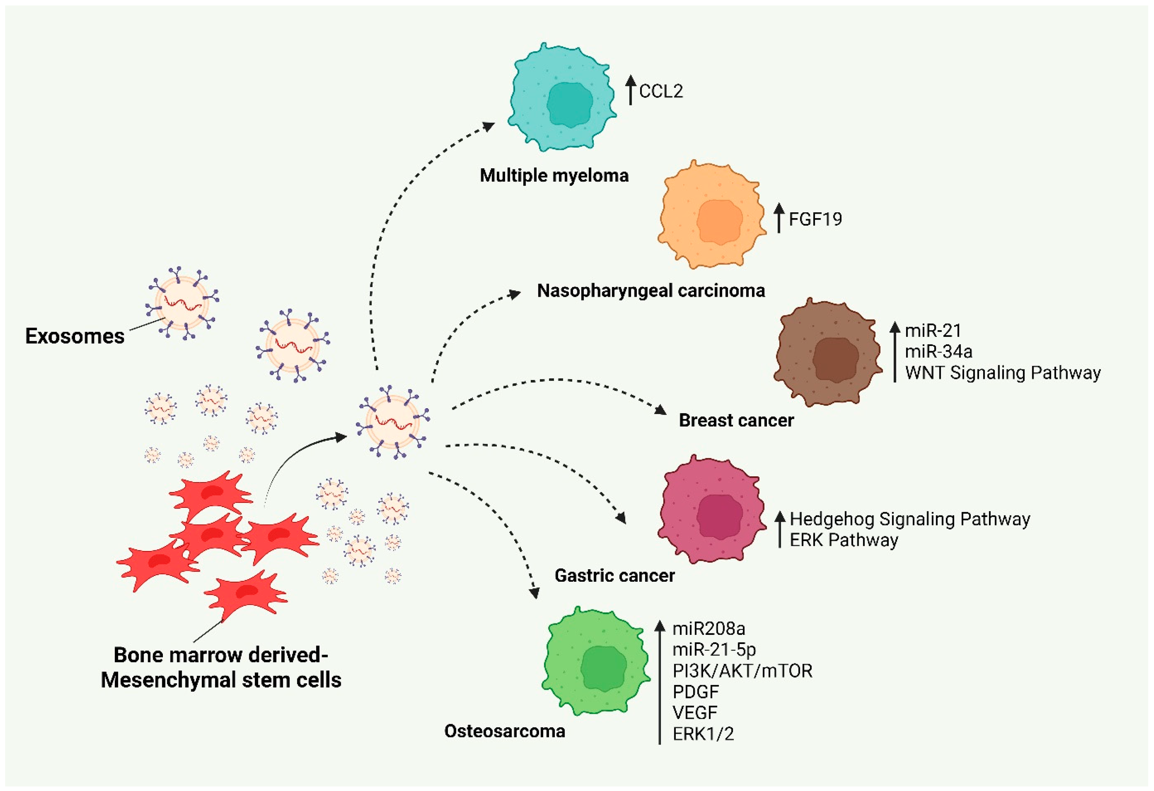 Cancers 17 00831 g002