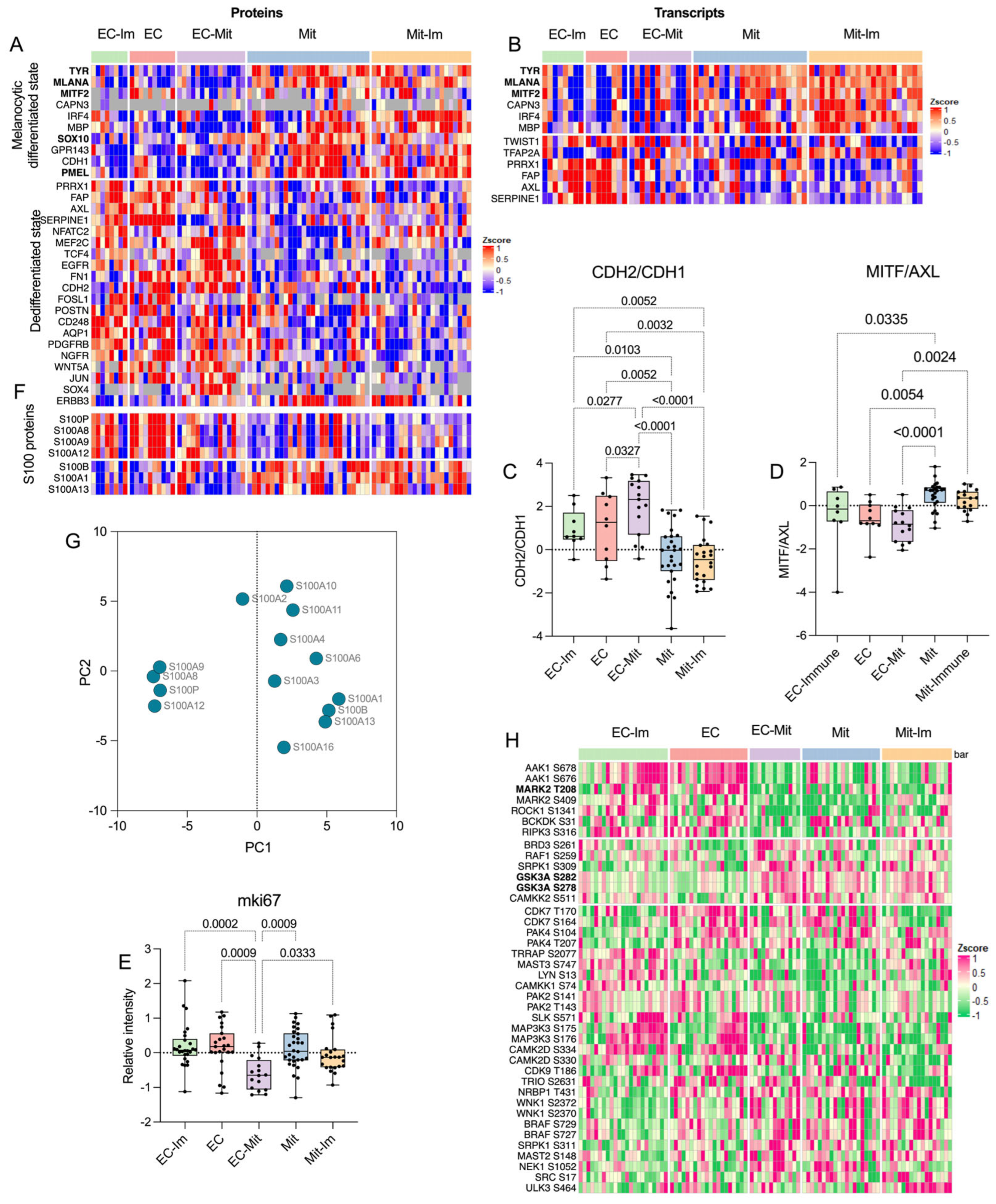 Cancers 17 00832 g002 Cancers 17 00832 g002