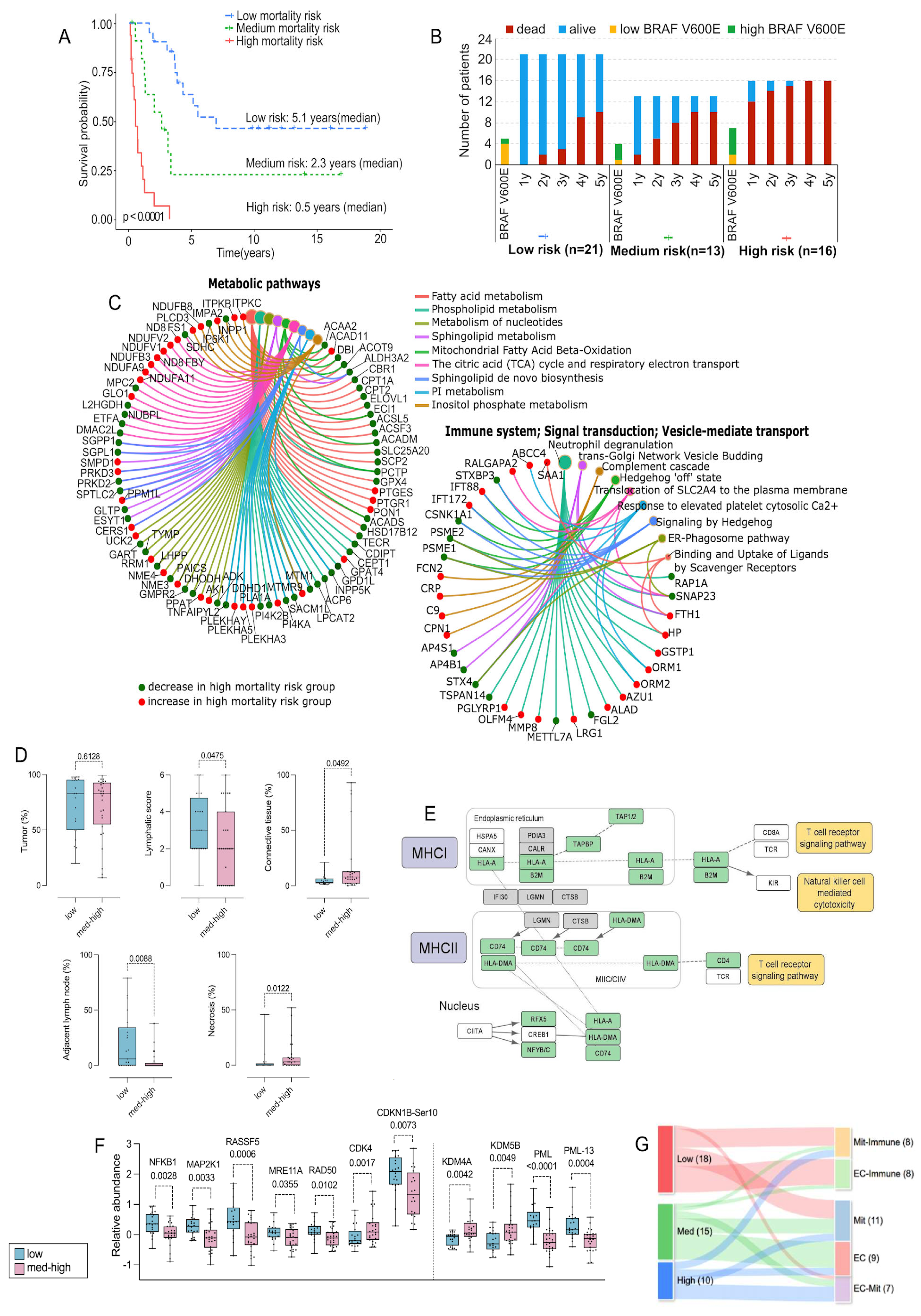 Cancers 17 00832 g003 Cancers 17 00832 g003
