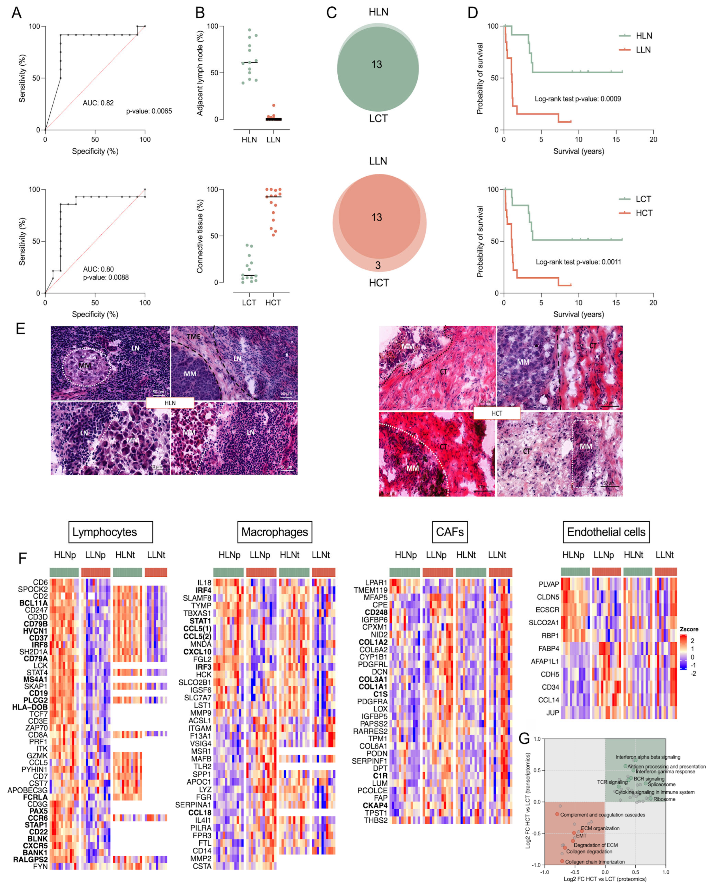 Cancers 17 00832 g005 Cancers 17 00832 g005