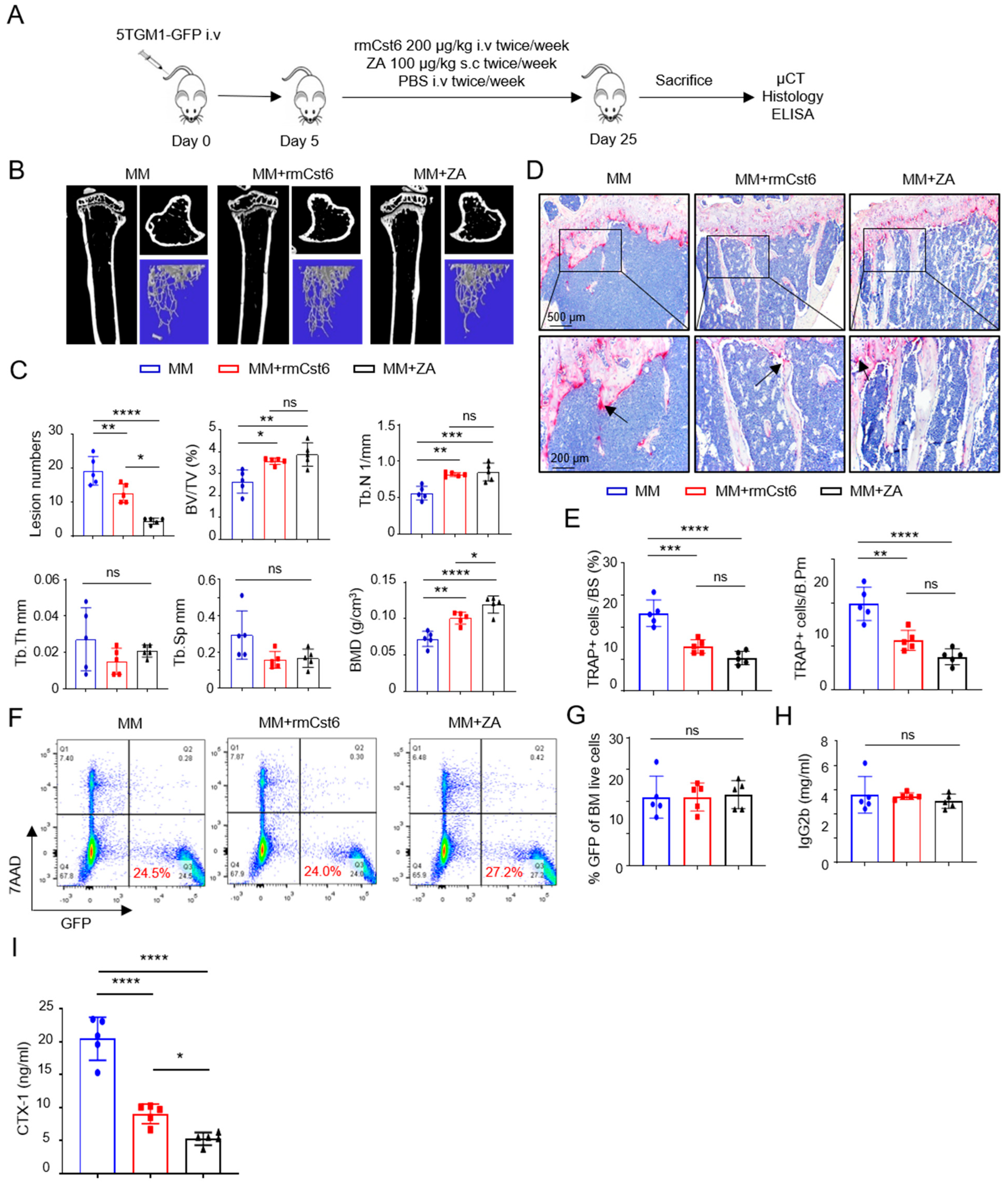 Cancers 17 00833 g001